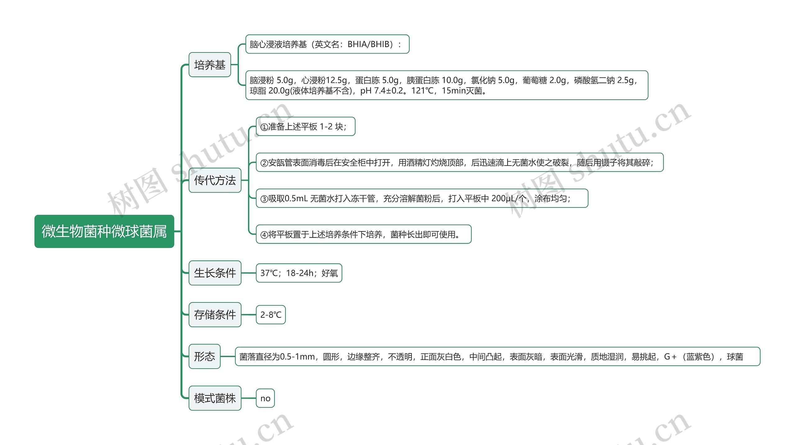 微生物菌种微球菌属思维导图