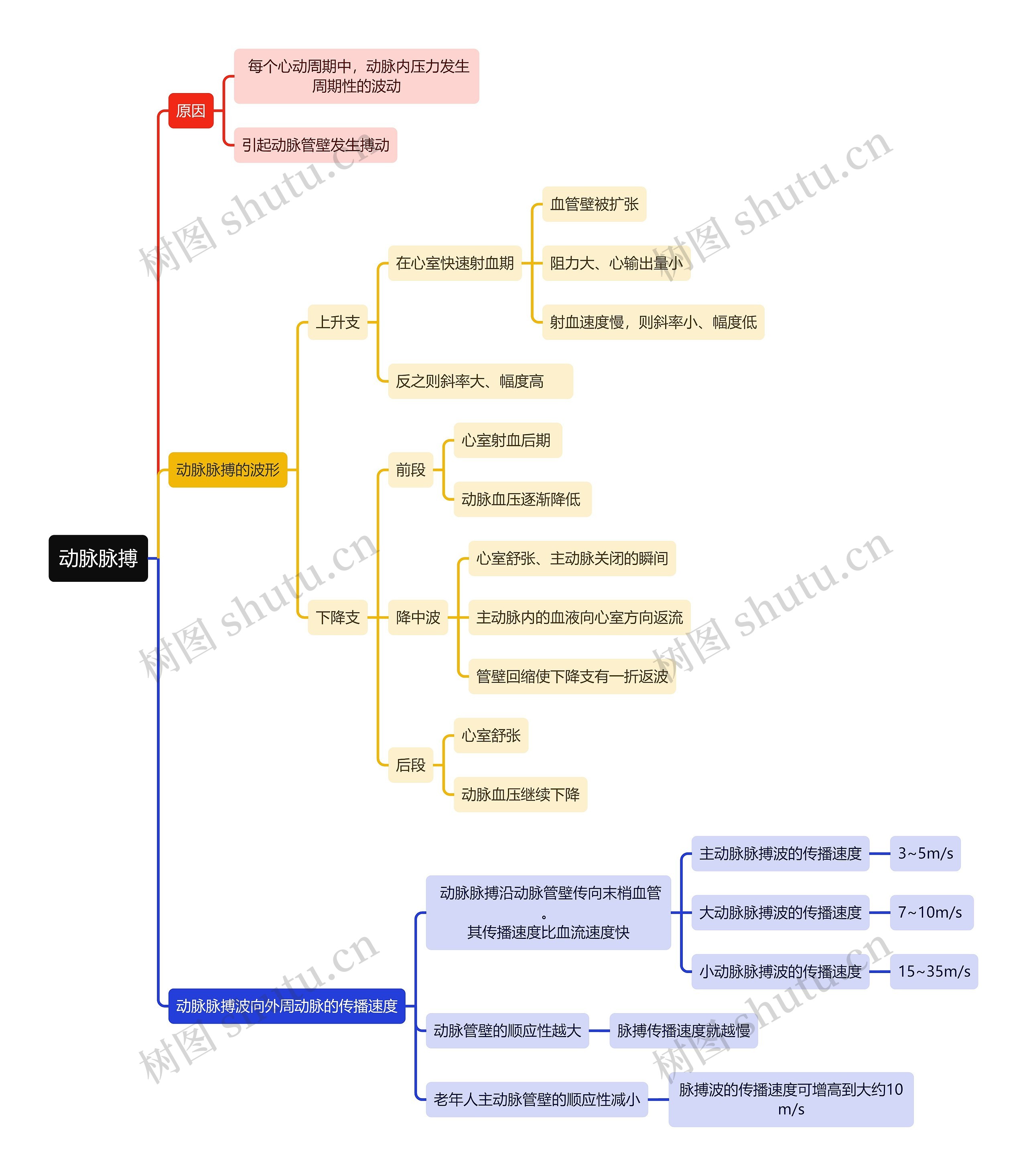医学知识动脉脉搏思维导图