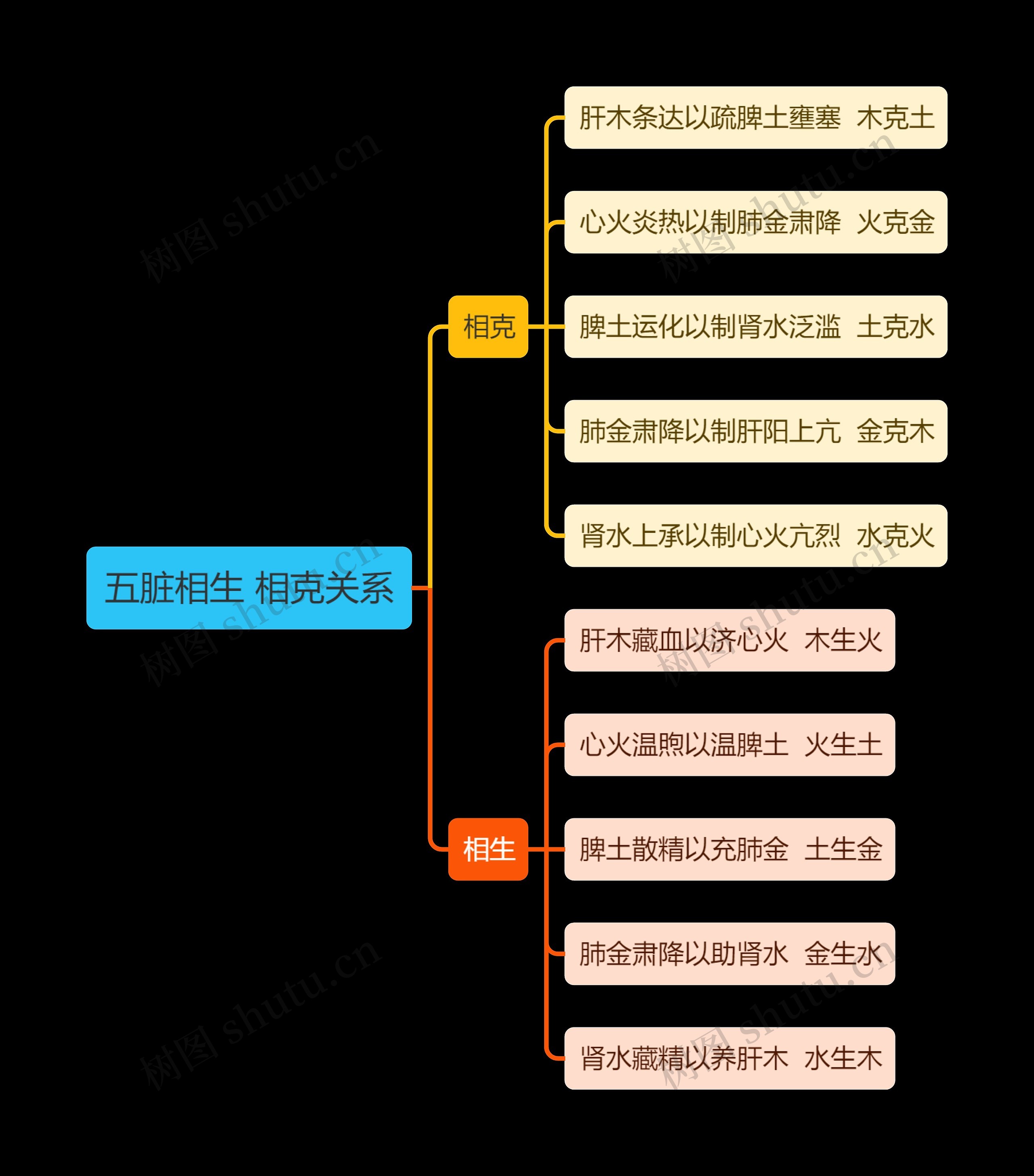 中医知识五脏相生 相克关系思维导图