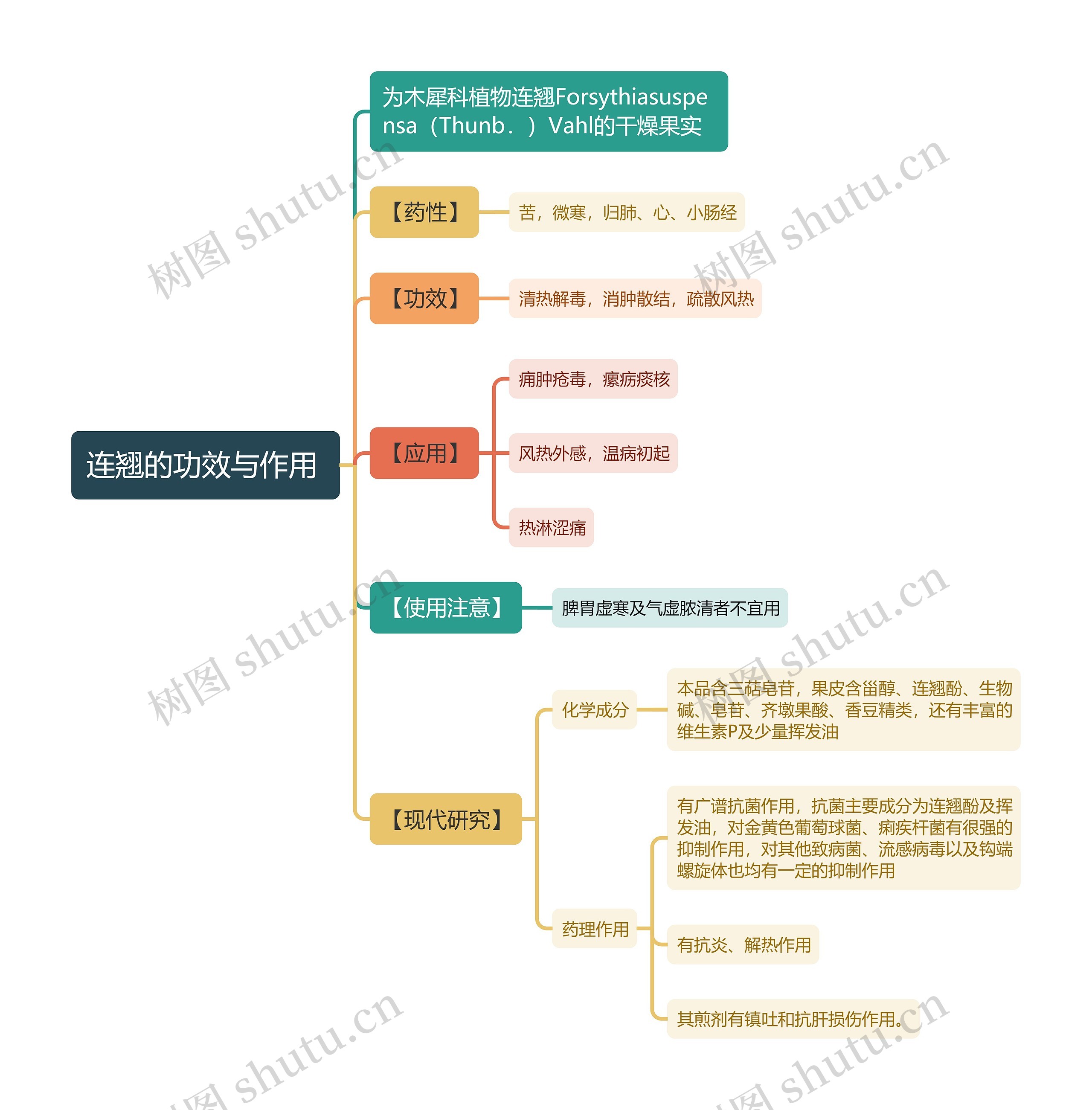 连翘的功效与作用
思维导图