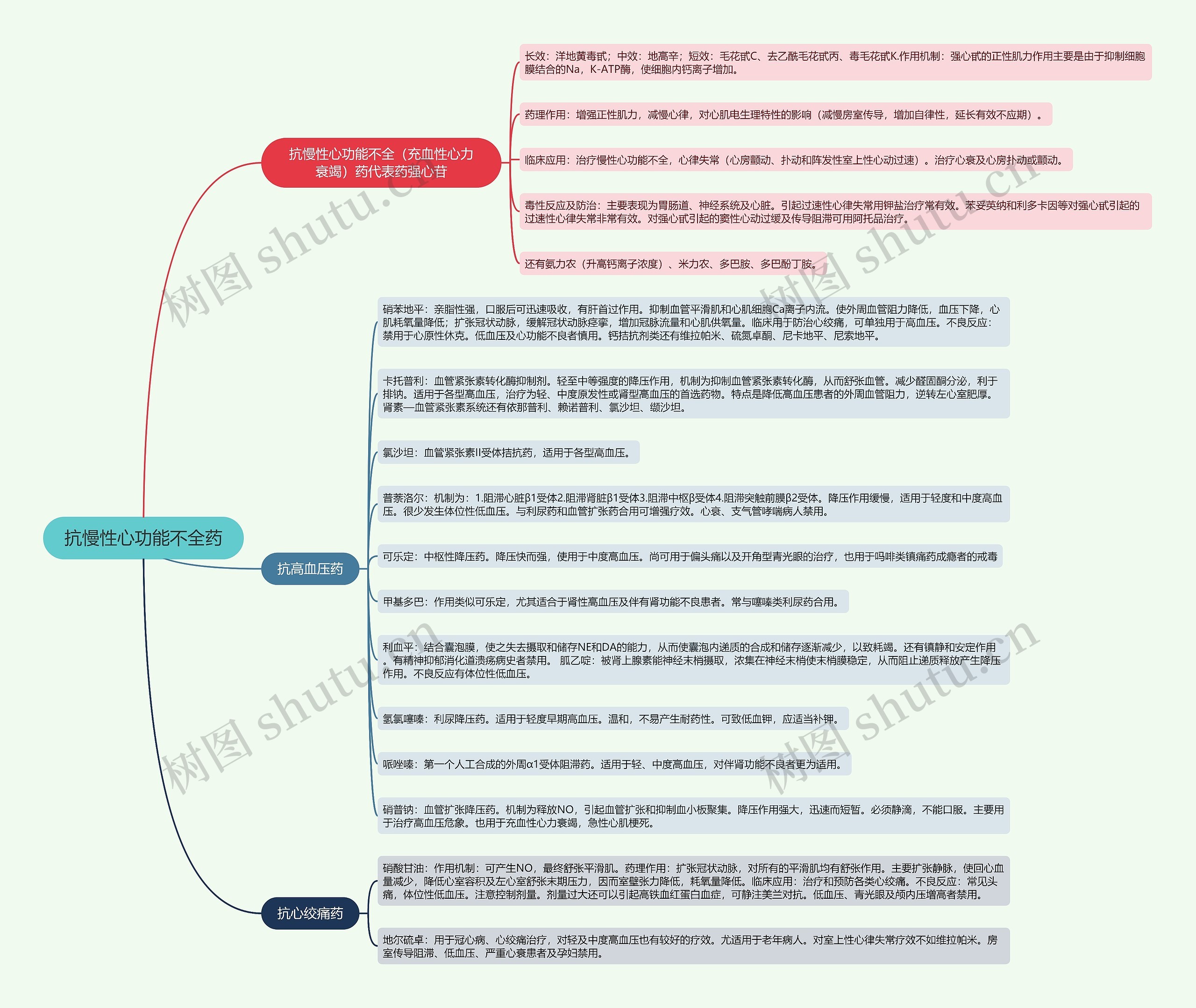 抗慢性心功能不全药的思维导图