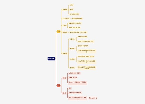 医学知识绦虫形态思维导图