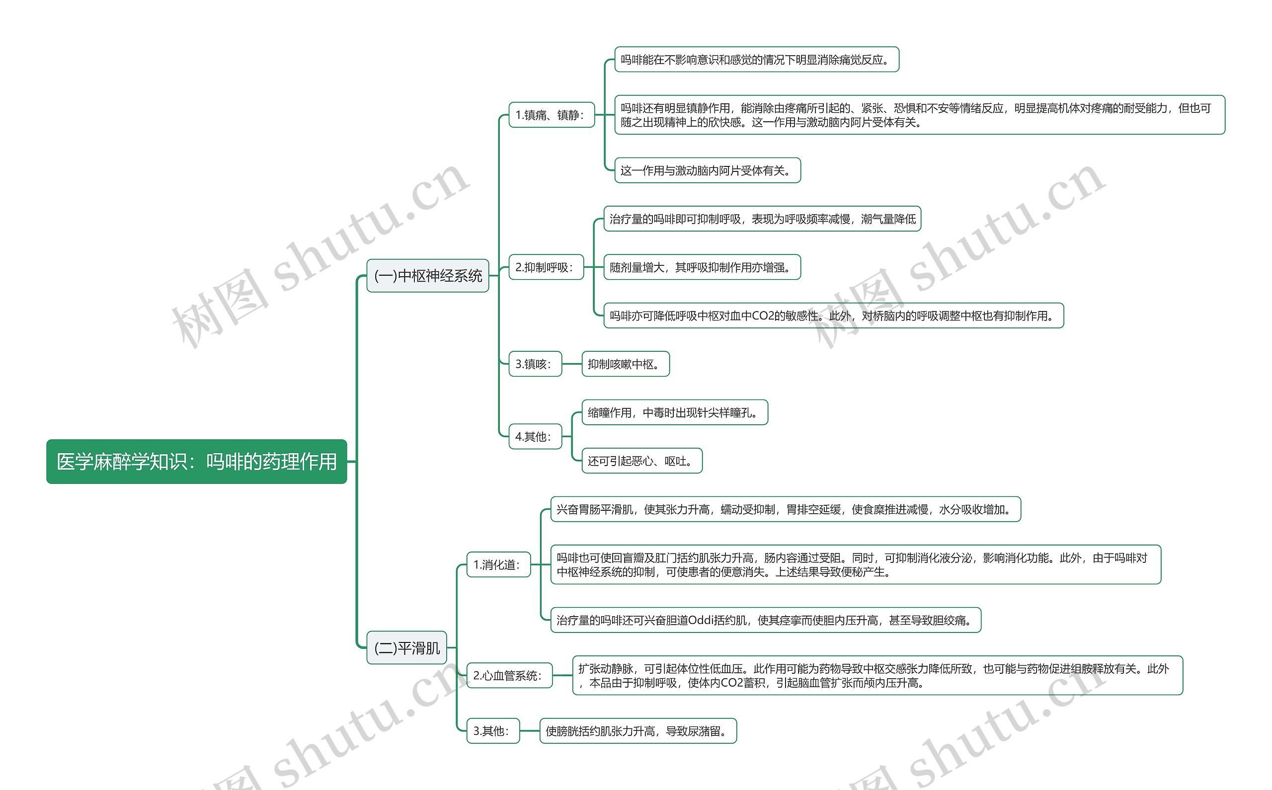 医学麻醉学知识：吗啡的药理作用思维导图