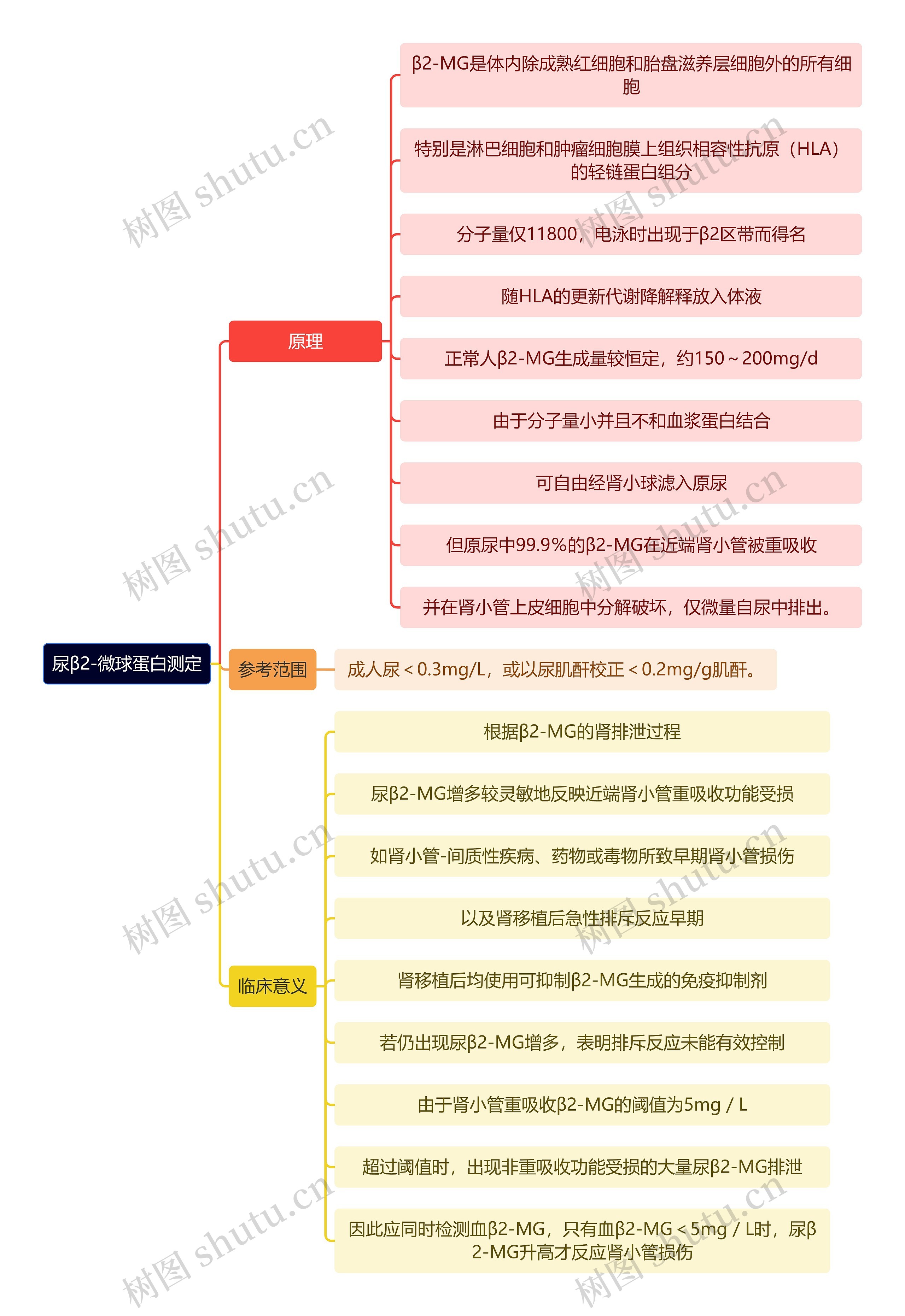 医学知识尿β2-微球蛋白测定思维导图