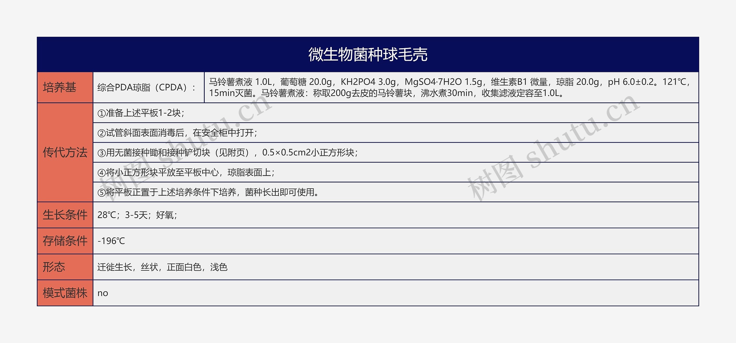 微生物菌种球毛壳思维导图