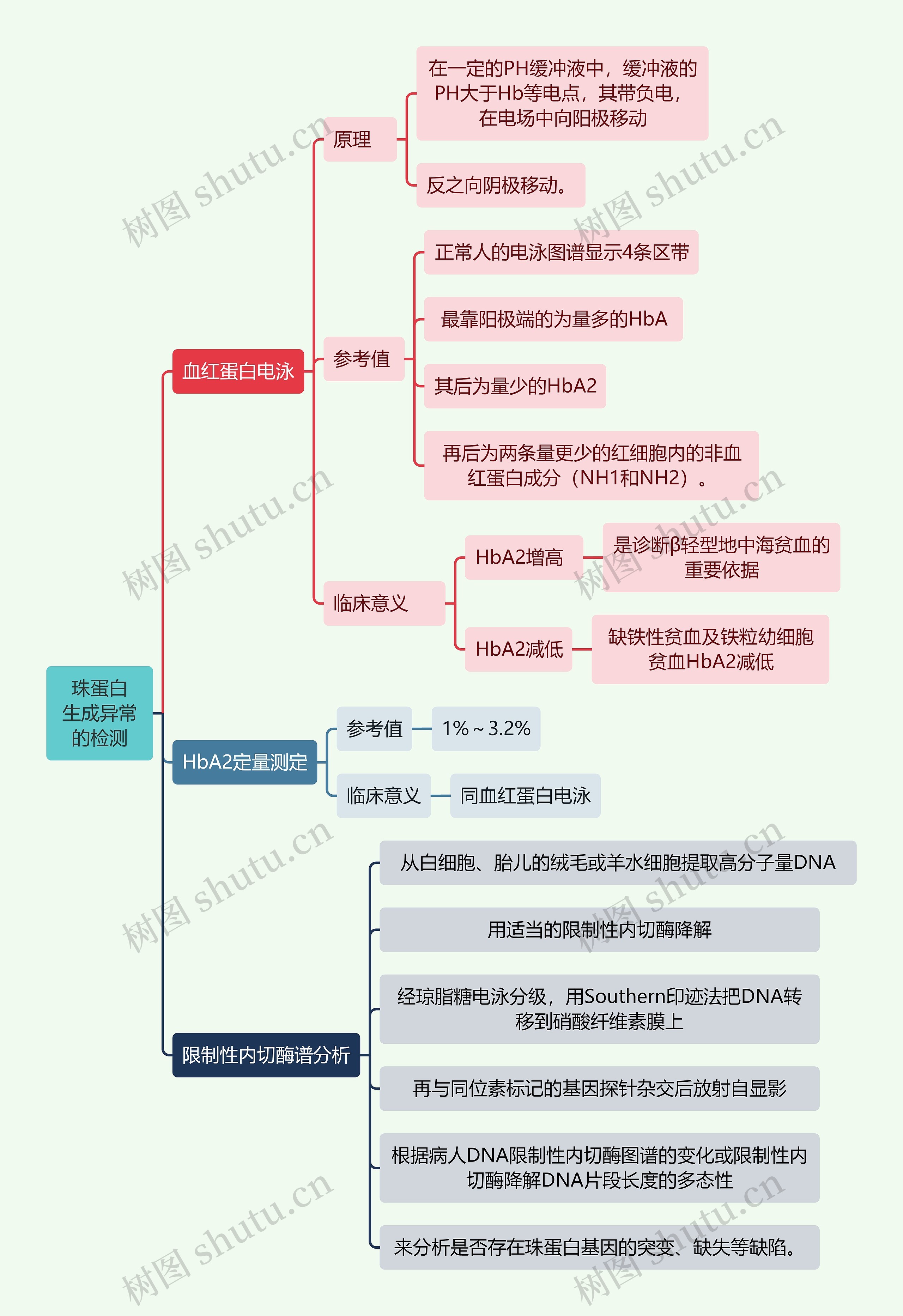 医学知识珠蛋白生成异常的检测思维导图