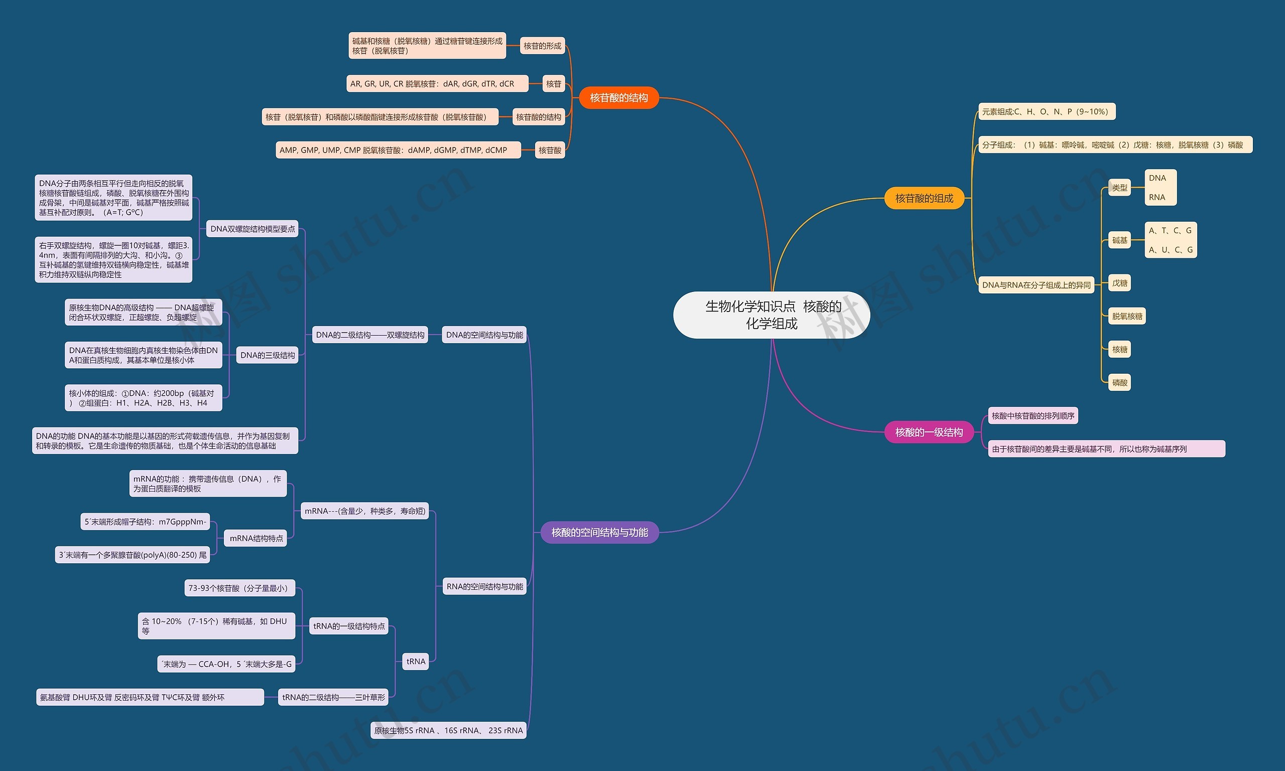  生物化学知识点  核酸的化学组成思维导图