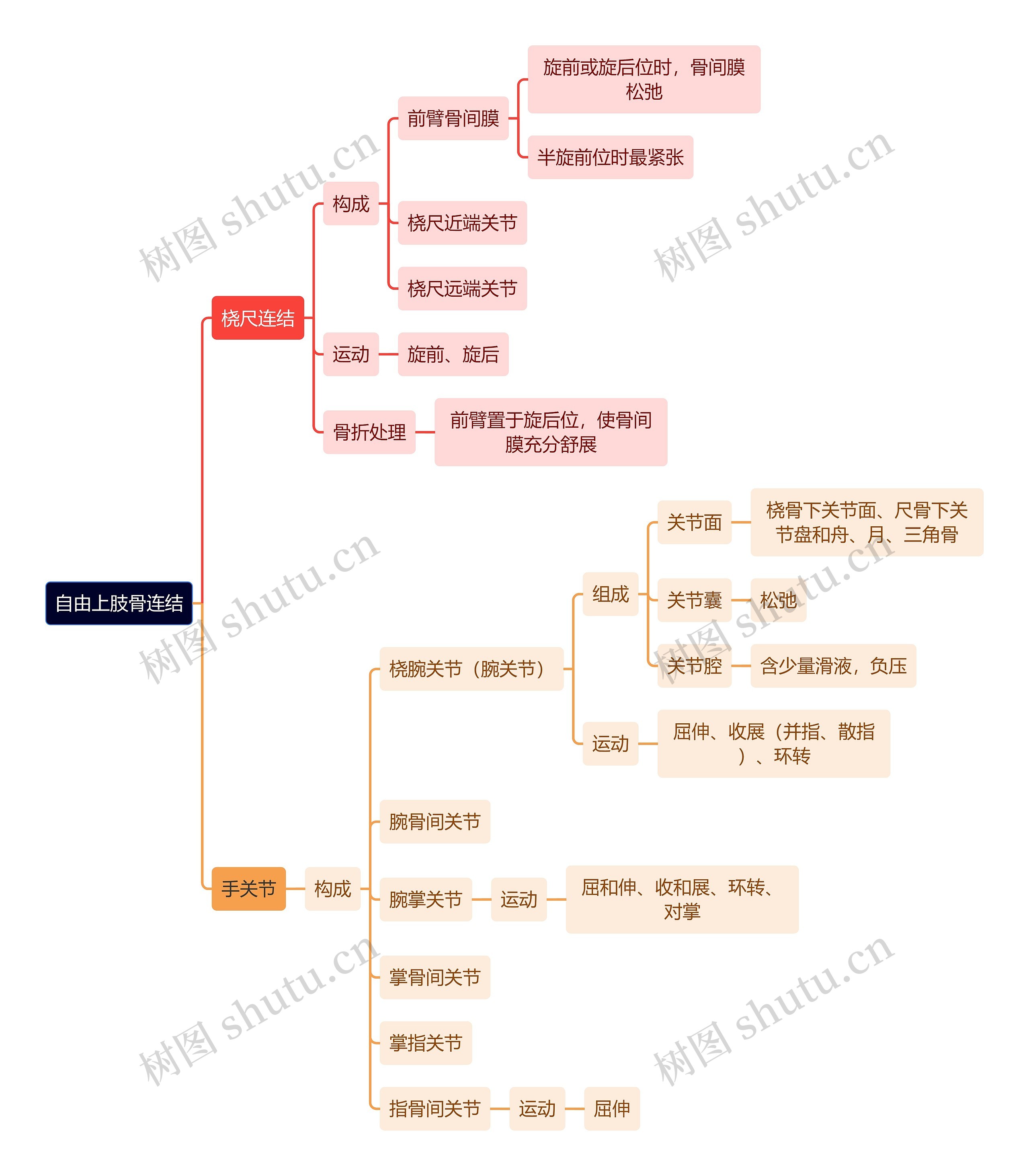 解剖学知识自由上肢骨连结思维导图高清图 解剖学知识自由上肢骨连结思维导图
