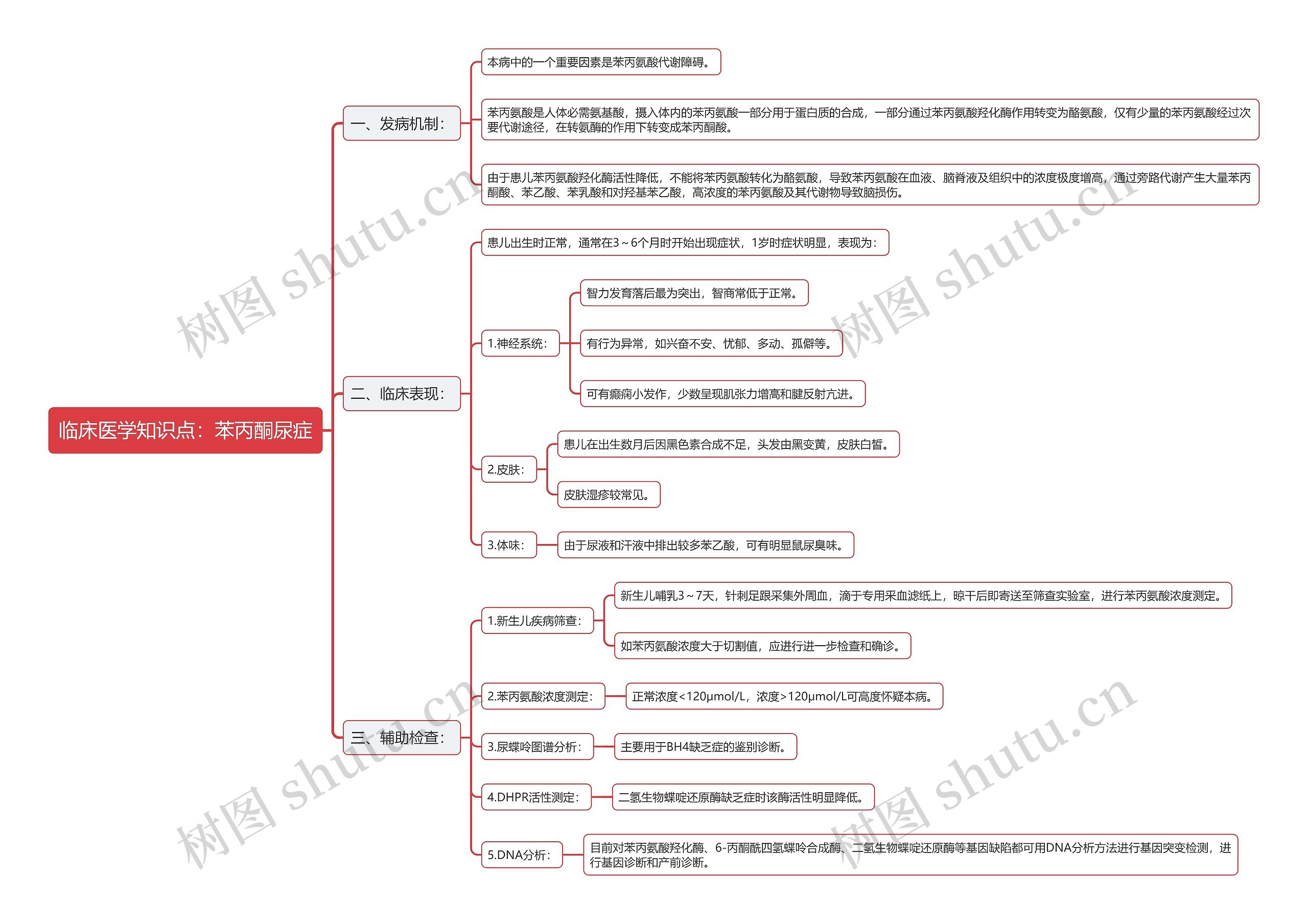 临床医学知识点：苯丙酮尿症思维导图