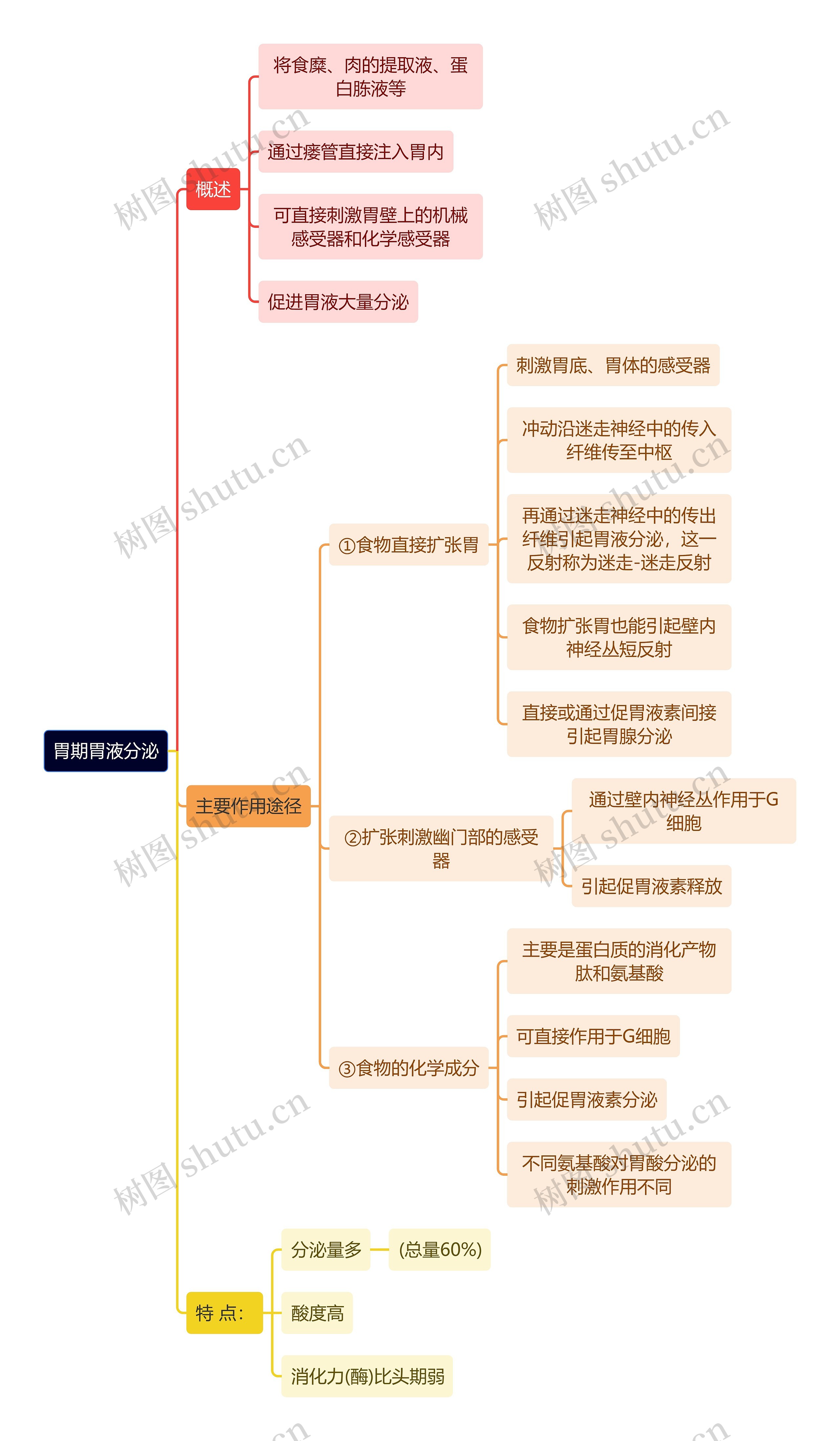 医学知识胃期胃液分泌思维导图