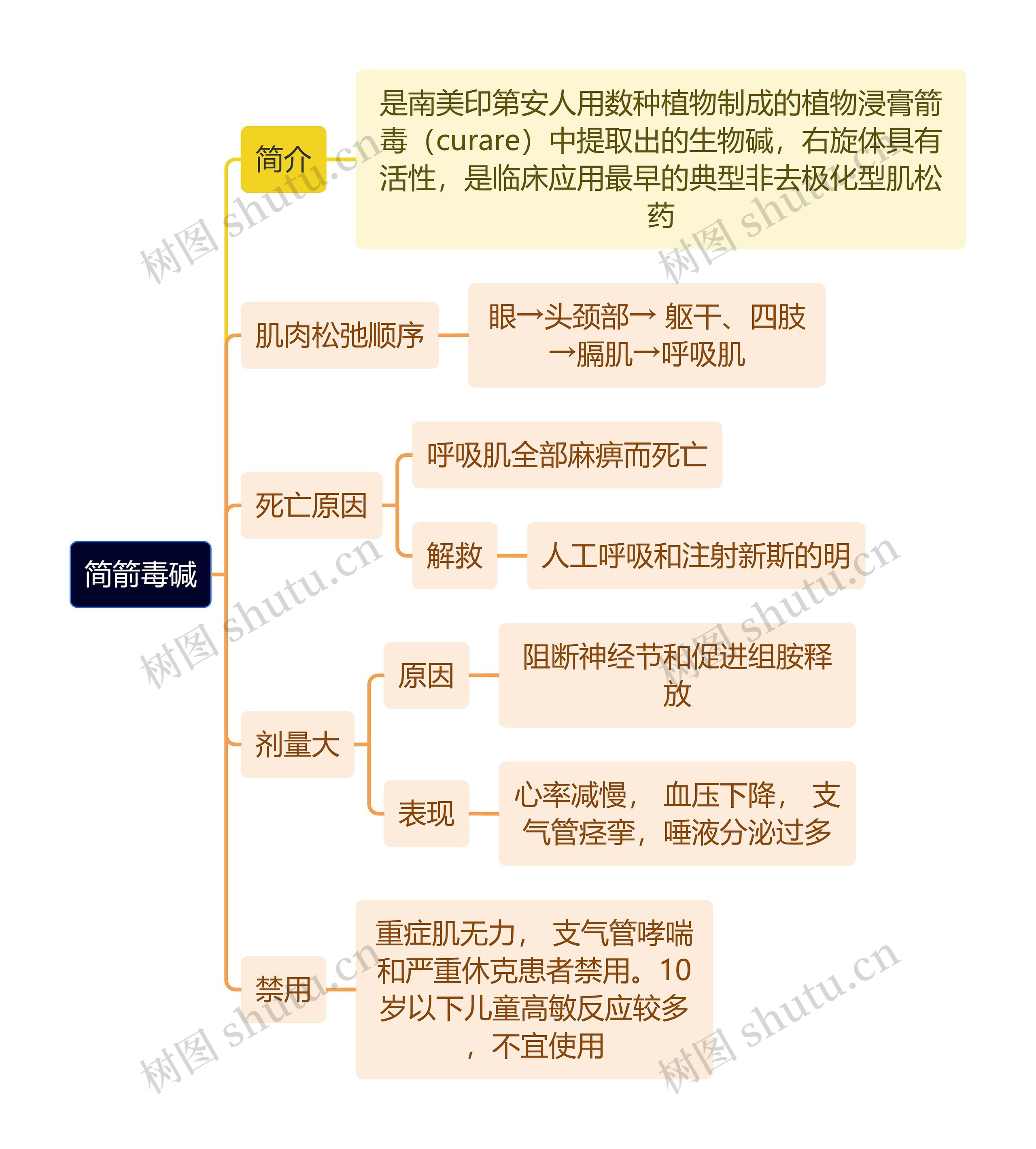 医学知识简箭毒碱思维导图