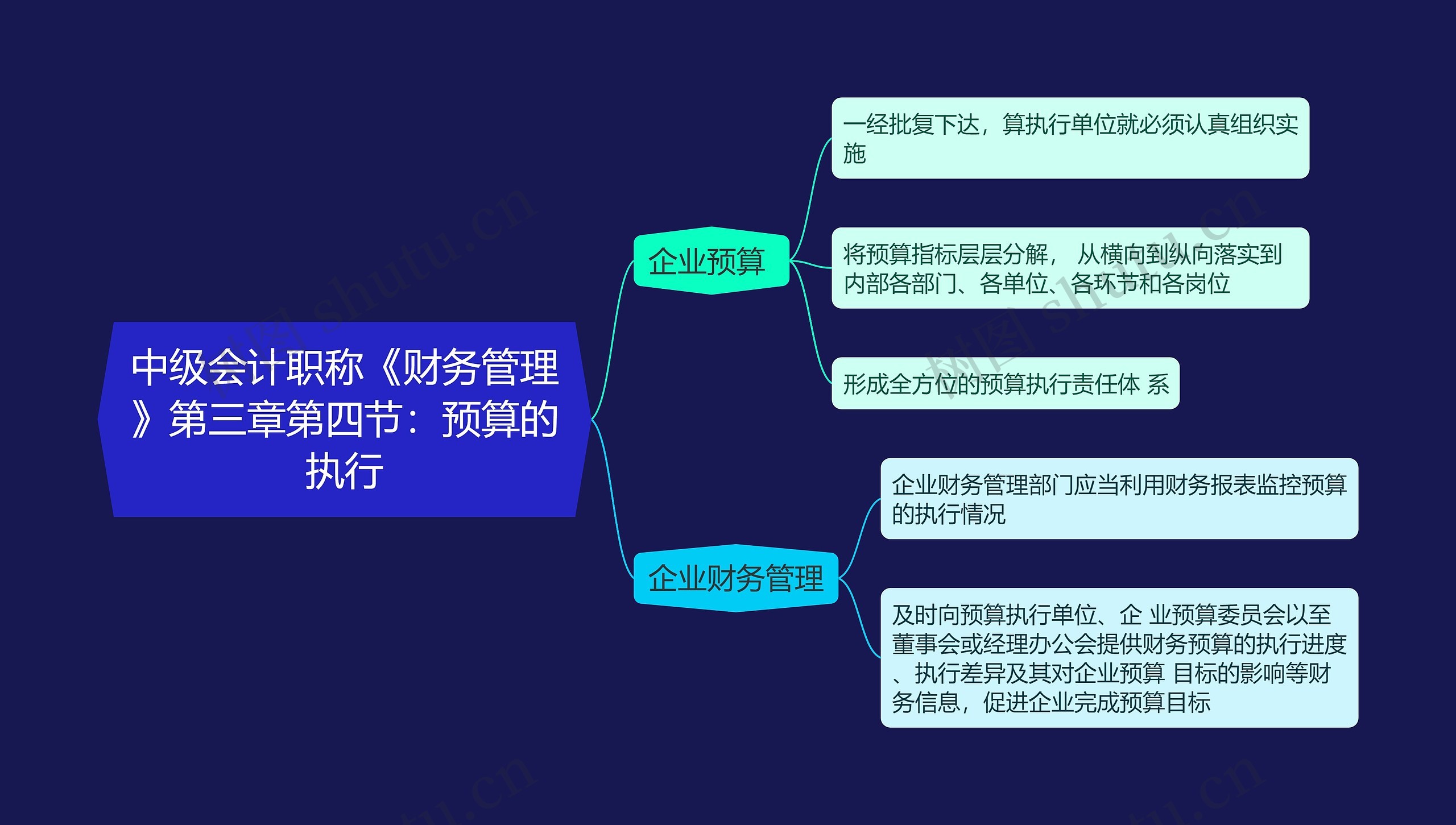 中级会计职称《财务管理》第三章第四节：预算的执行思维导图