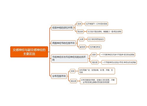 医学交感神经与副交感神经的主要区别思维导图