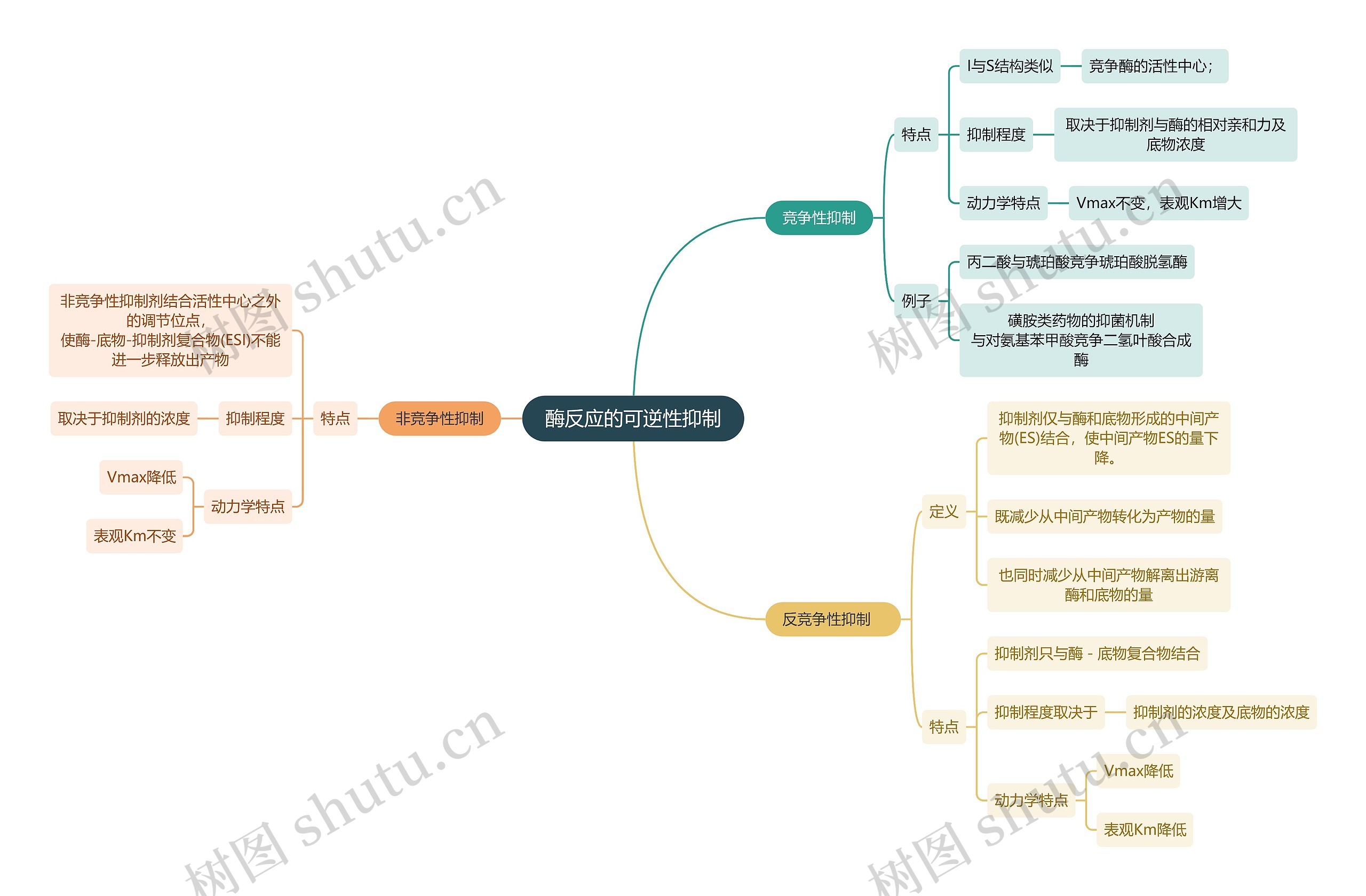 生化知识酶反应的可逆性抑制思维导图