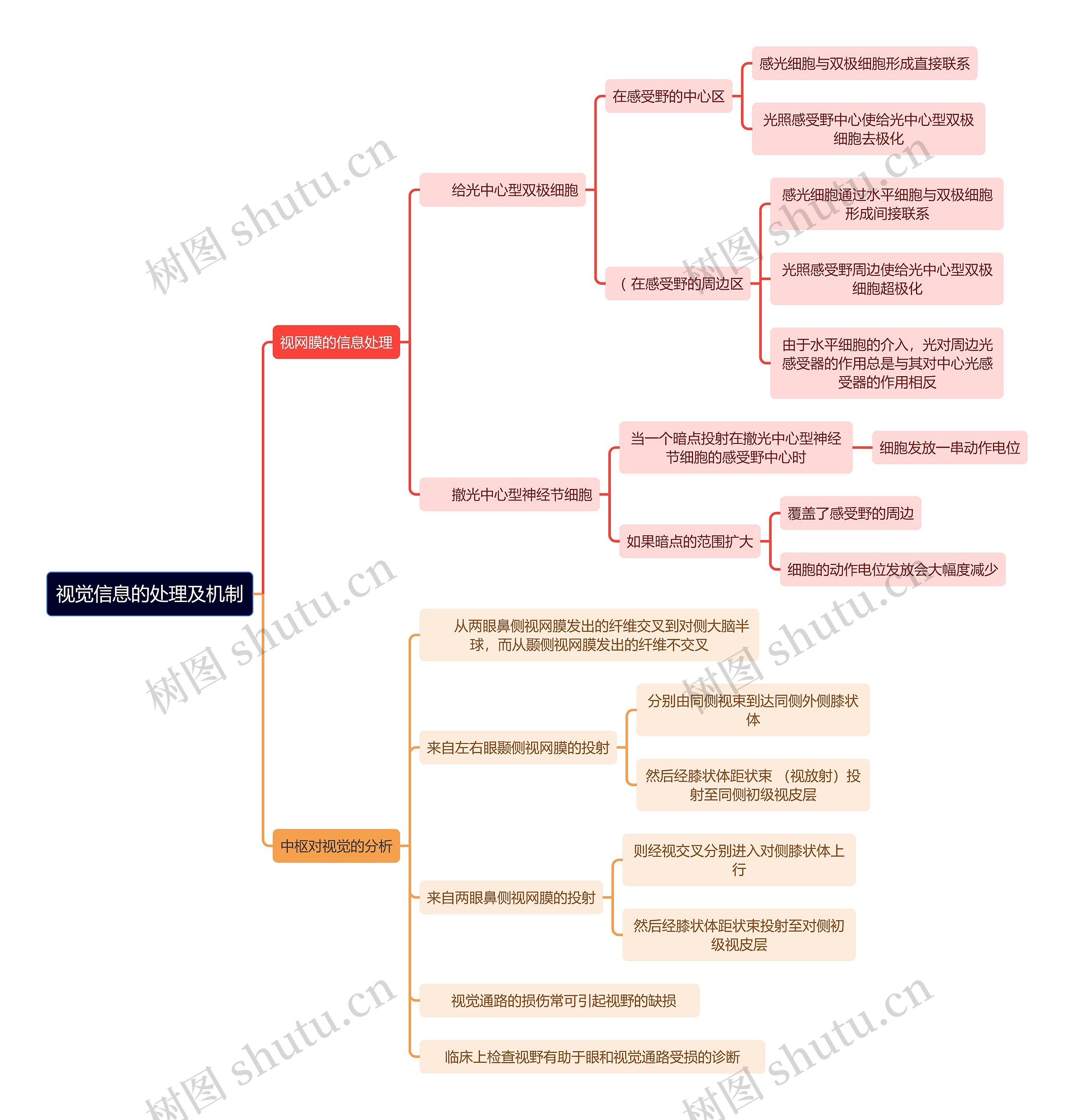 医学知识视觉信息的处理及机制思维导图