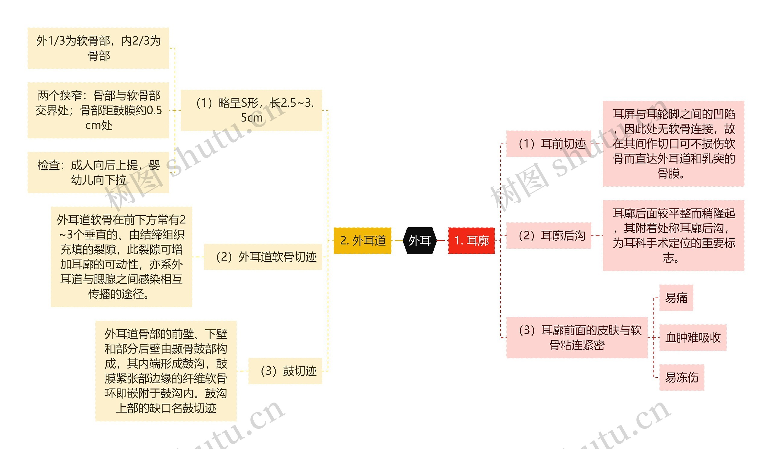 医学知识外耳思维导图