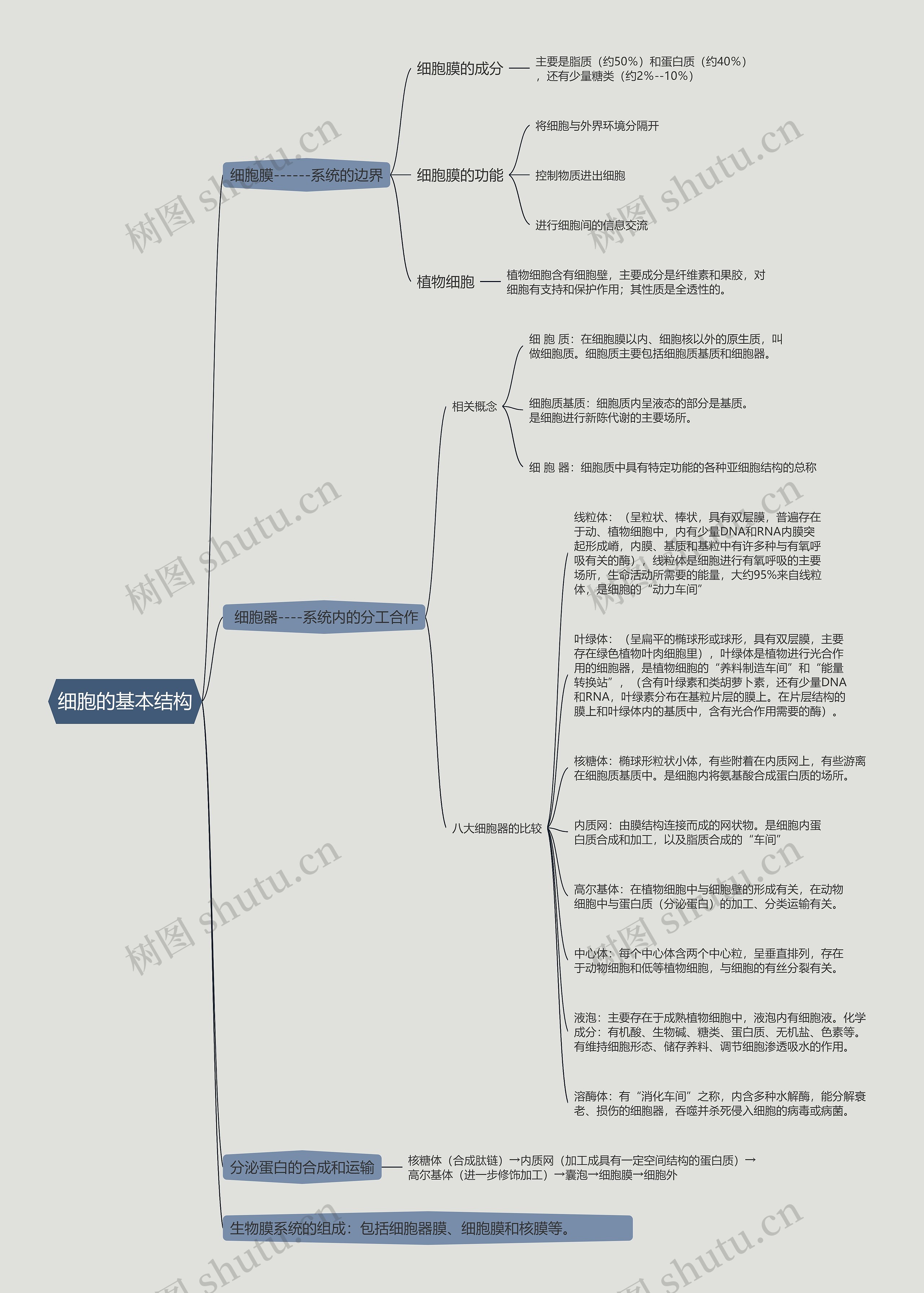 细胞的基本结构的思维导图