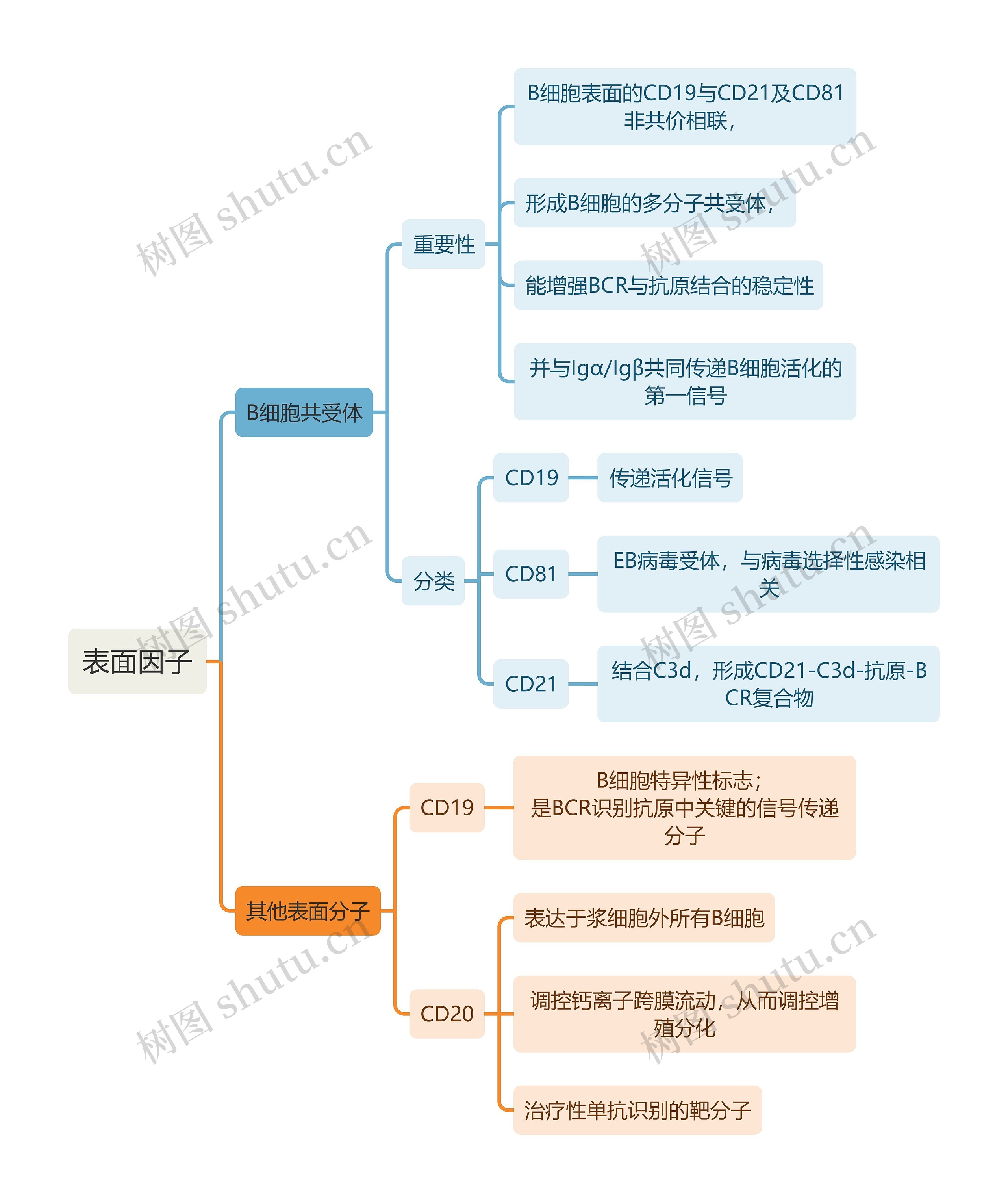 医学知识表面因子思维导图