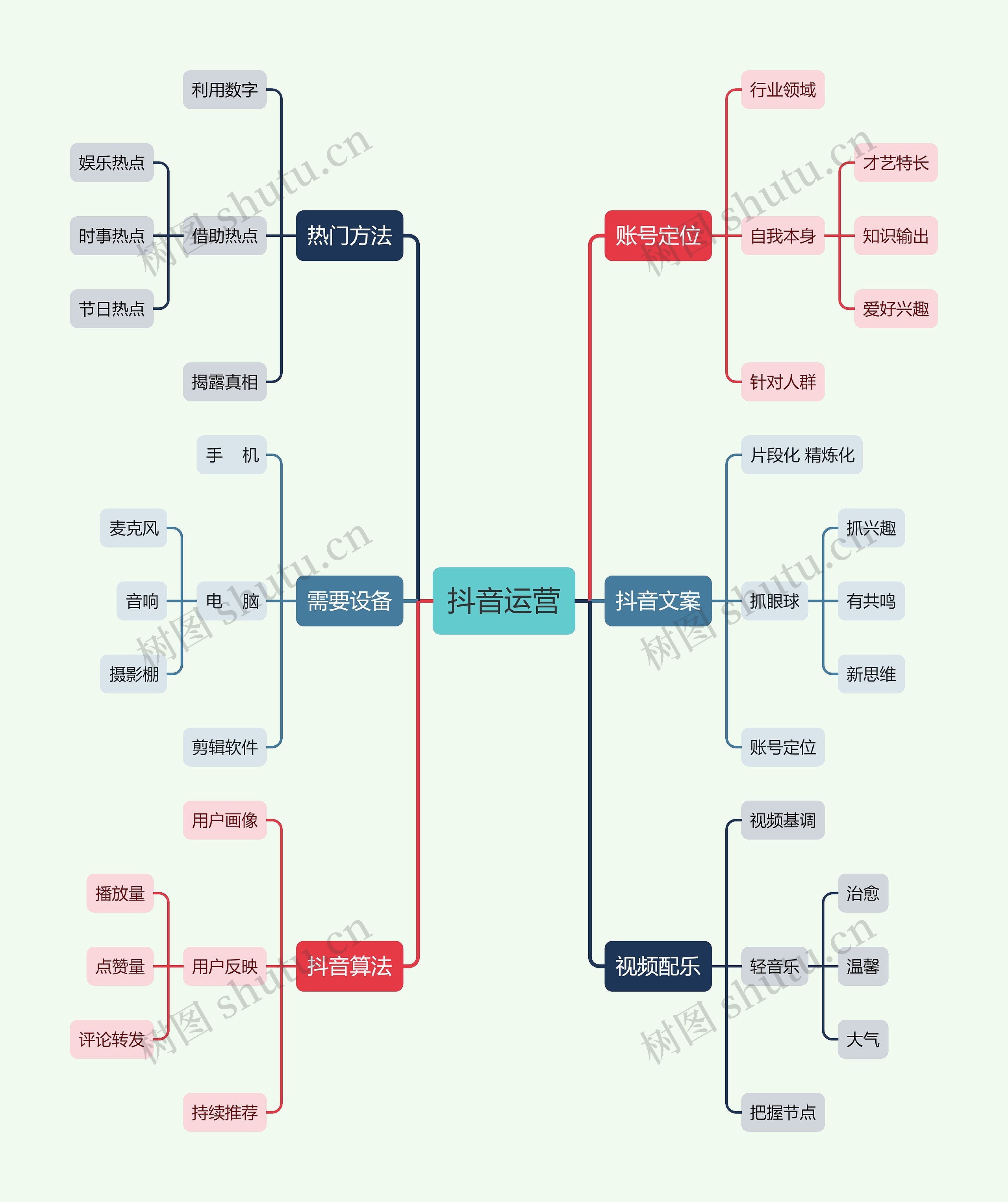 抖音拍摄及维护运营