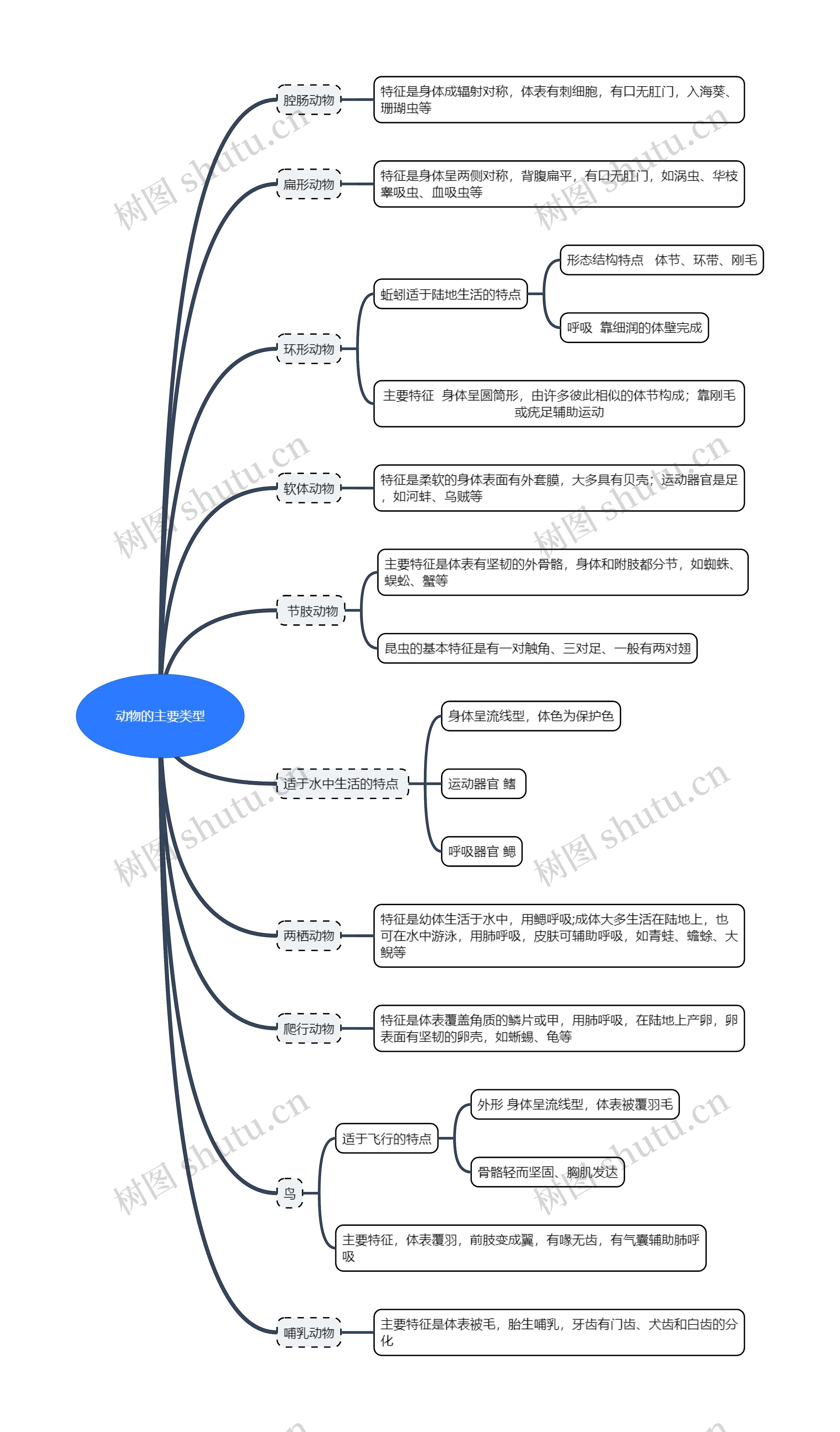 ﻿动物的主要类型思维导图