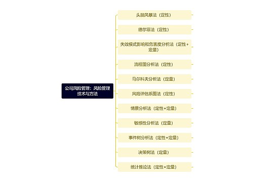 公司风险管理：风险管理技术与方法