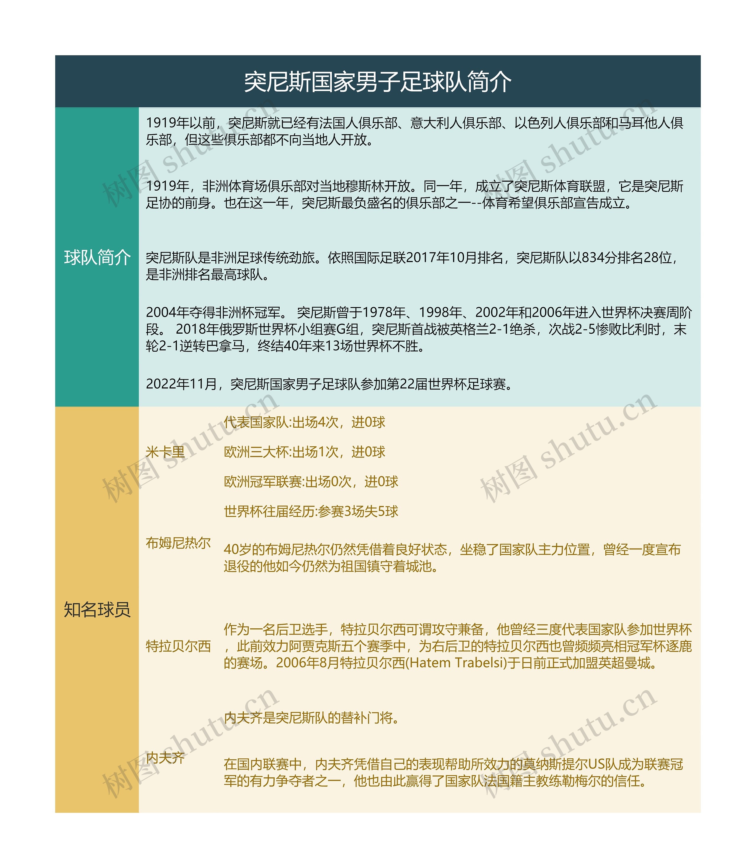 突尼斯国家男子足球队简介思维导图