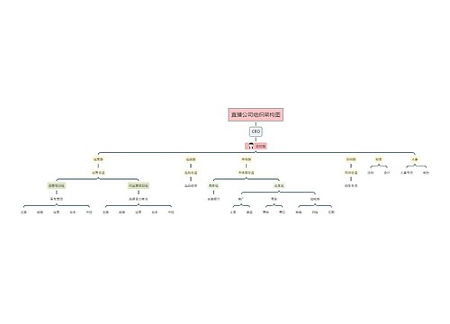 直播公司组织架构图