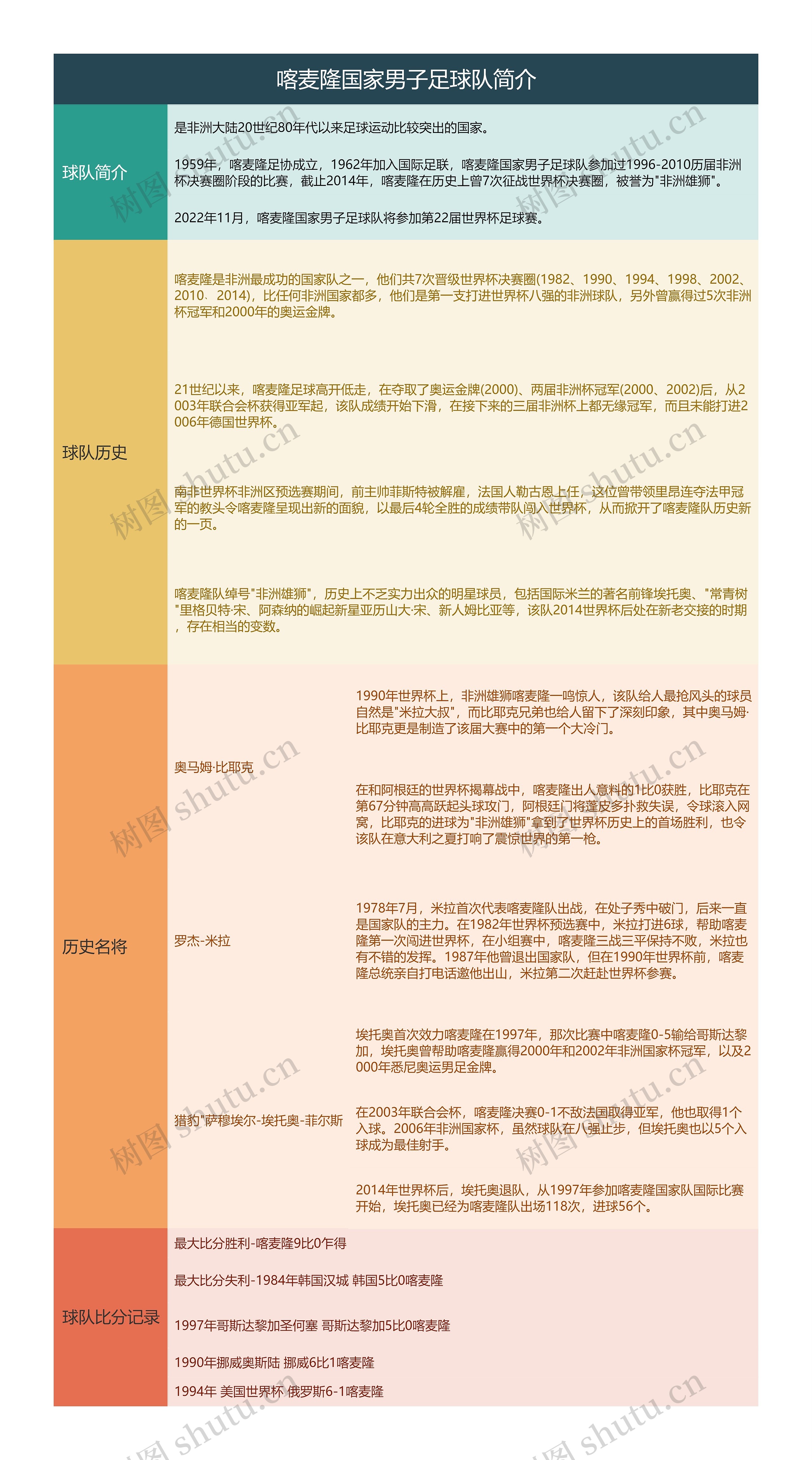 喀麦隆国家男子足球队简介