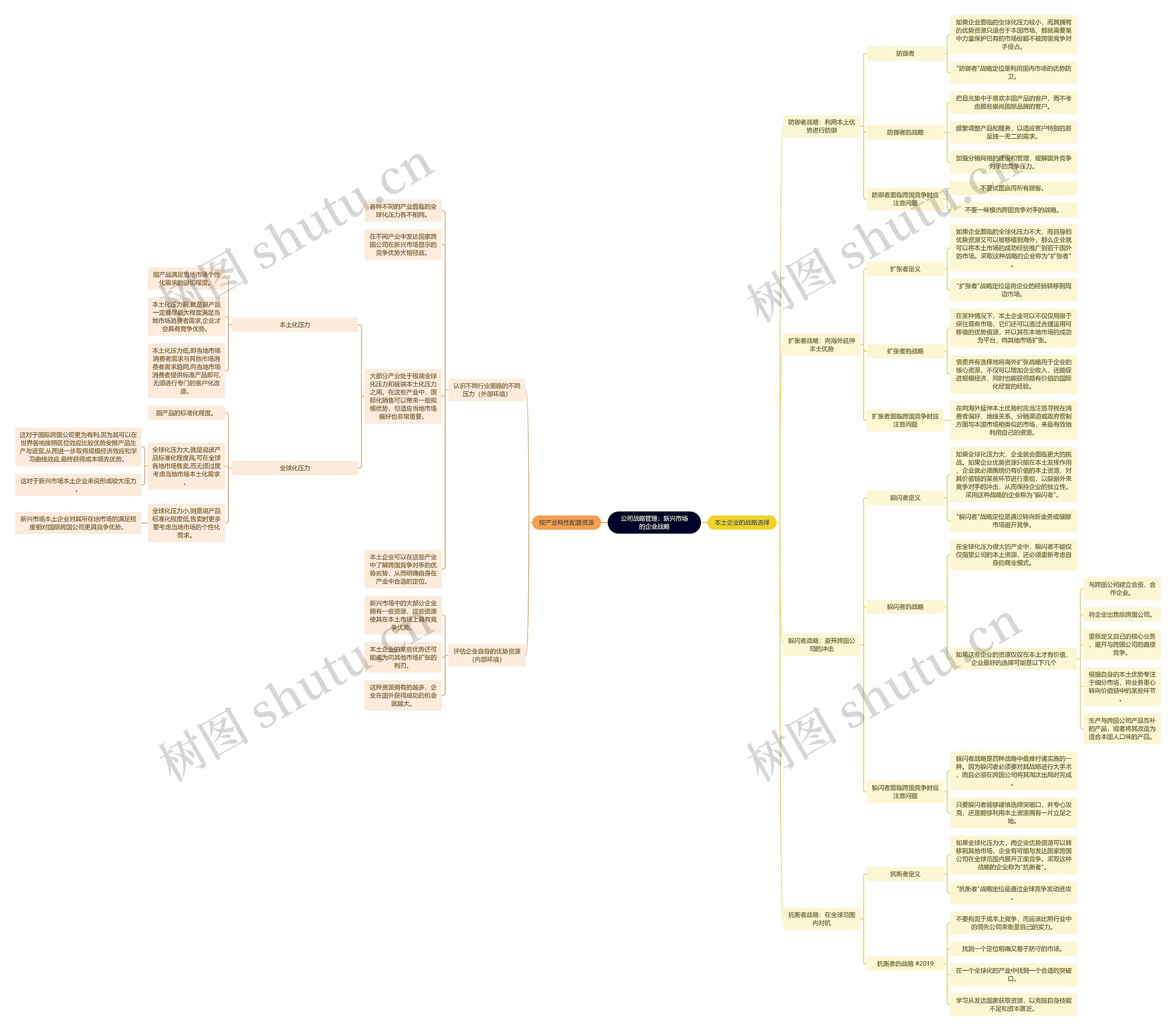 公司战略管理：新兴市场的企业战略思维导图