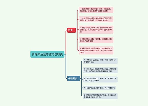 新媒体运营总监岗位职责