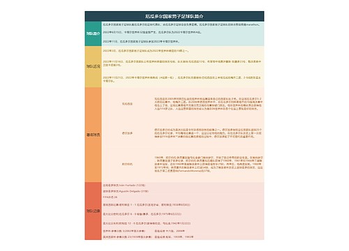 厄瓜多尔国家男子足球队简介