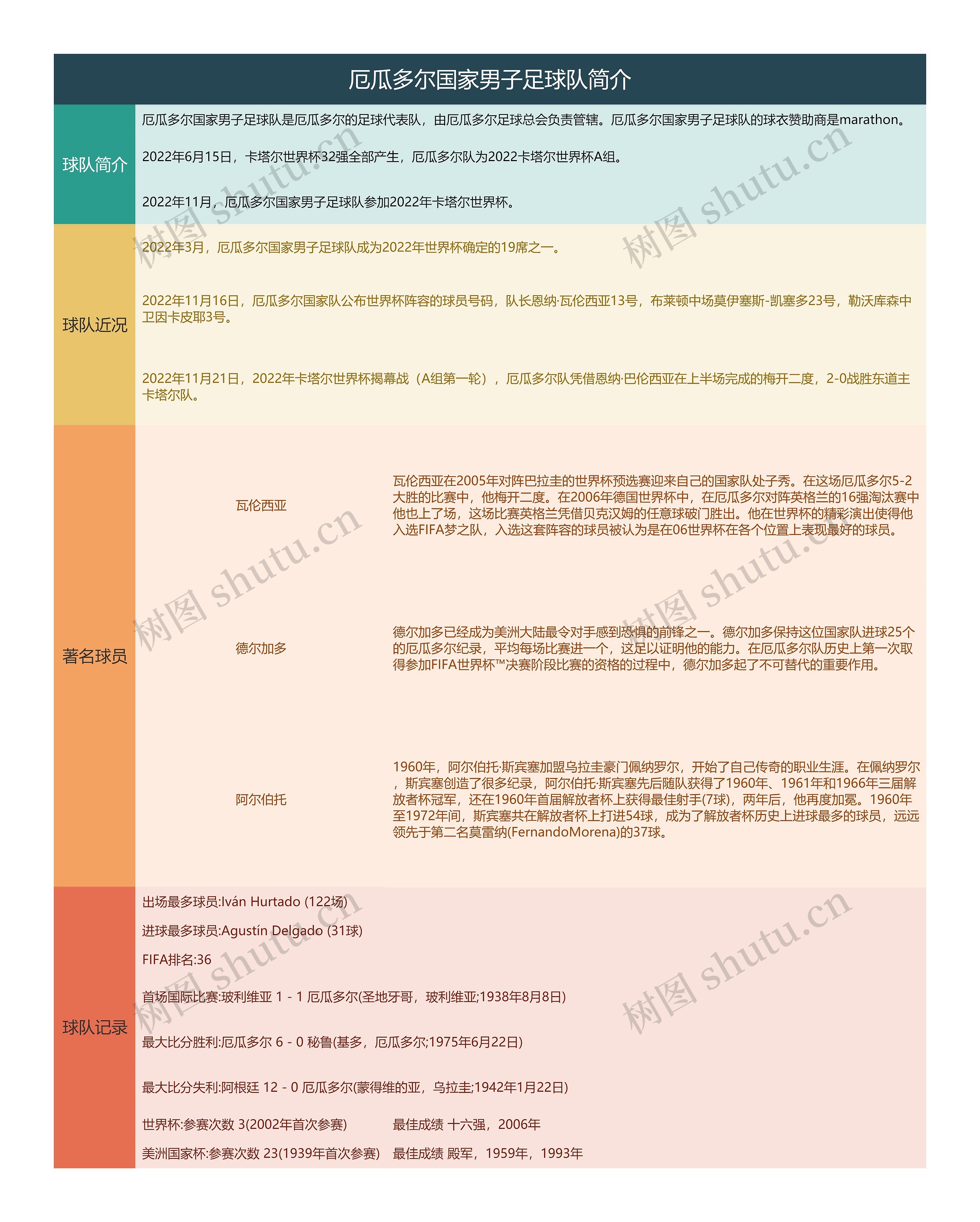 厄瓜多尔国家男子足球队简介