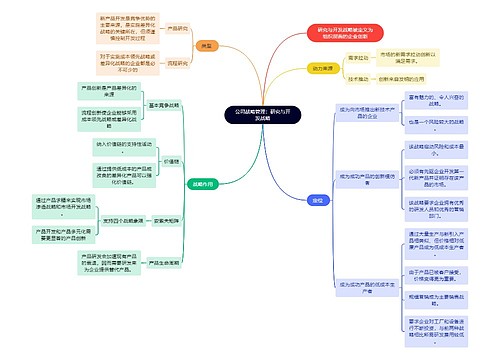 公司战略管理：研究与开发战略