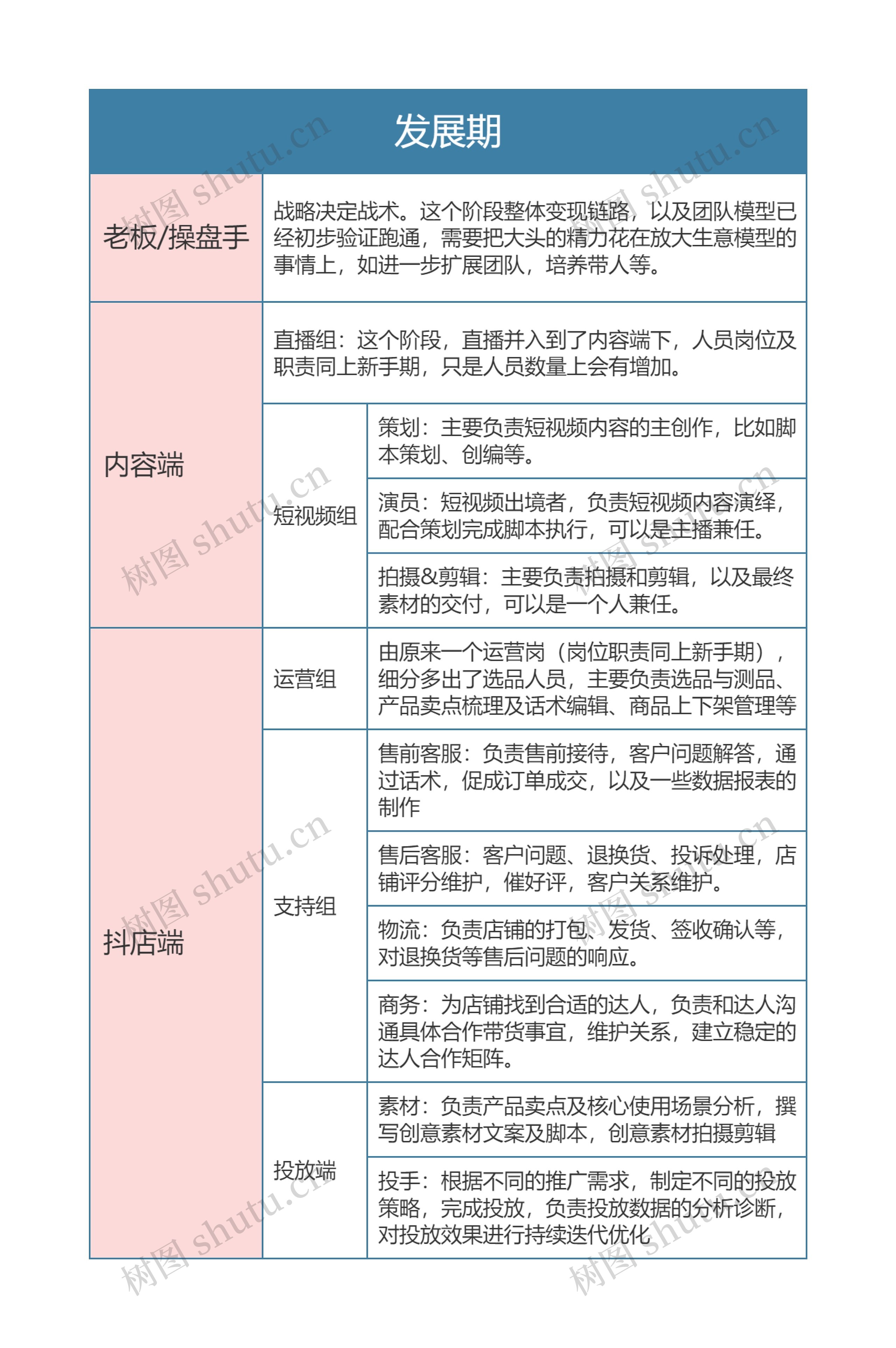 抖音电商  发展期思维导图