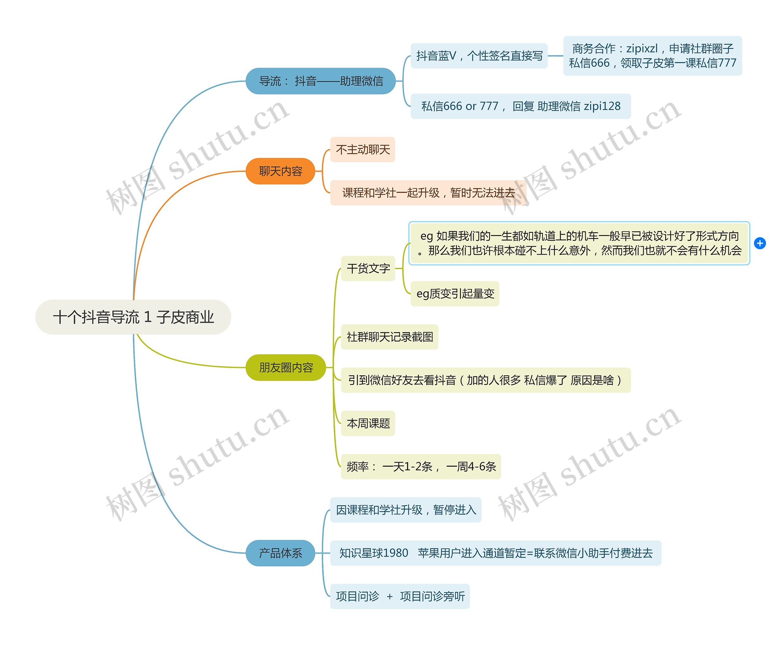 十个抖音导流 1 子皮商业