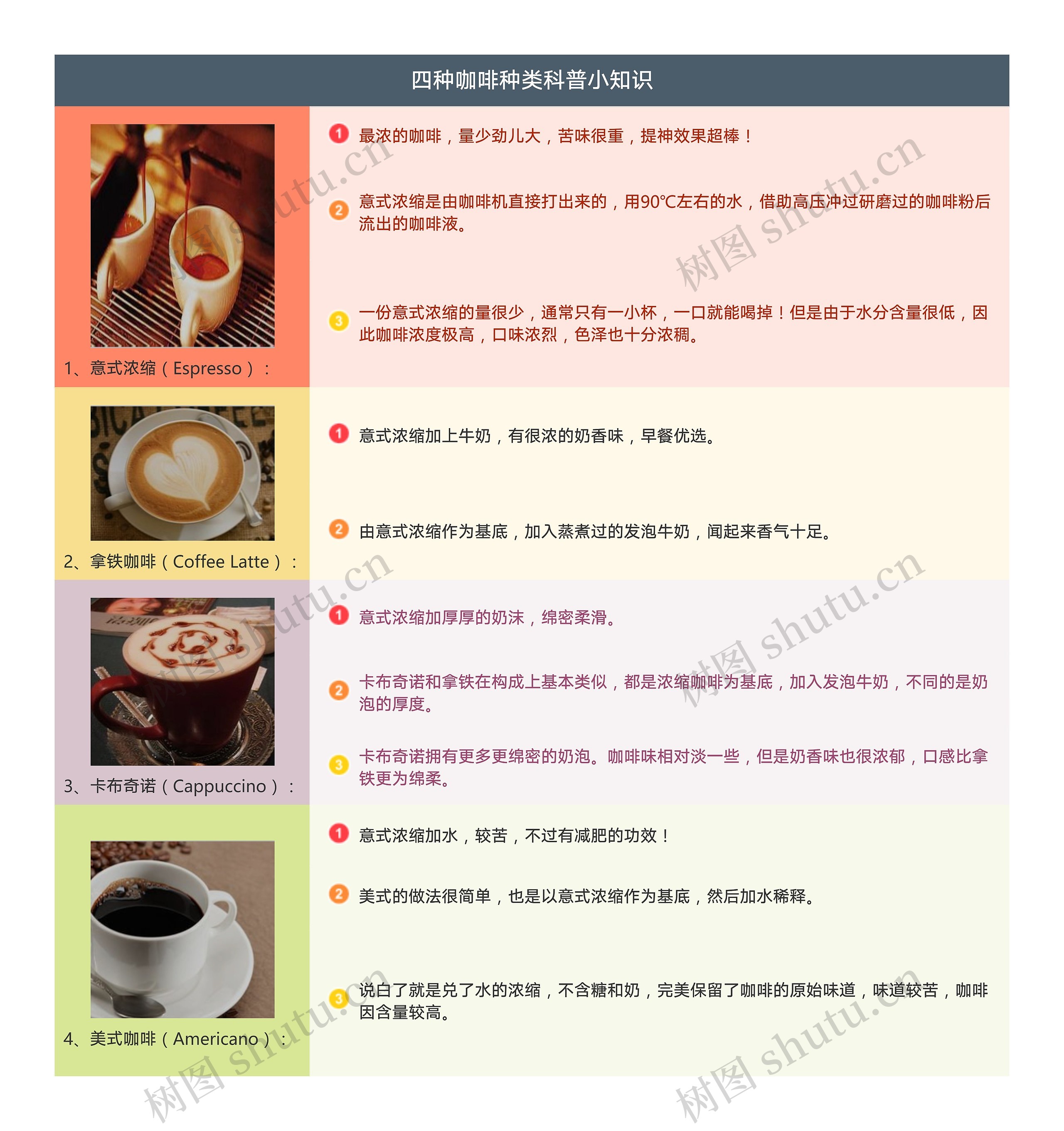 四种咖啡种类科普小知识树形表格图