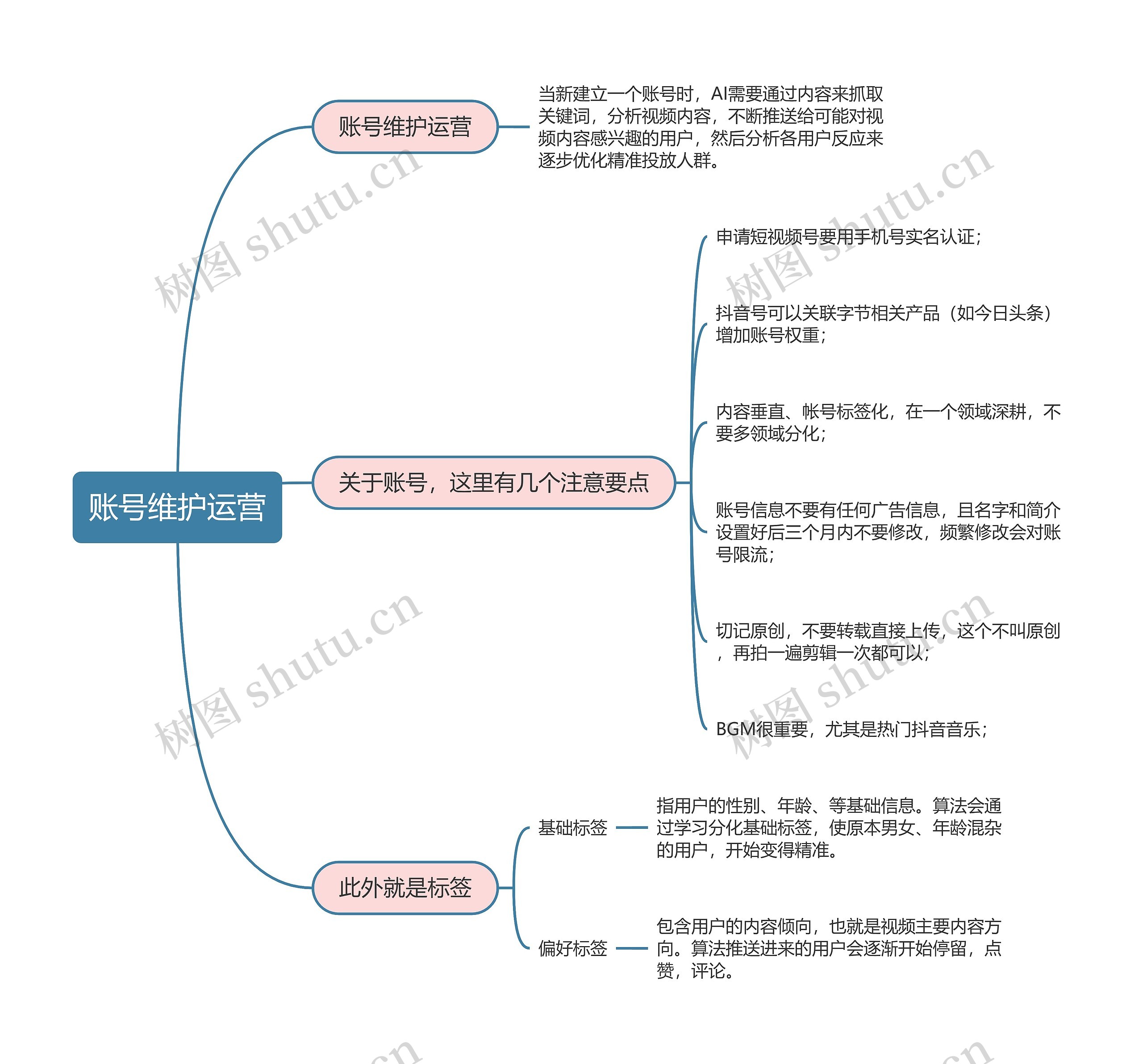 抖音直播  账号维护运营思维导图