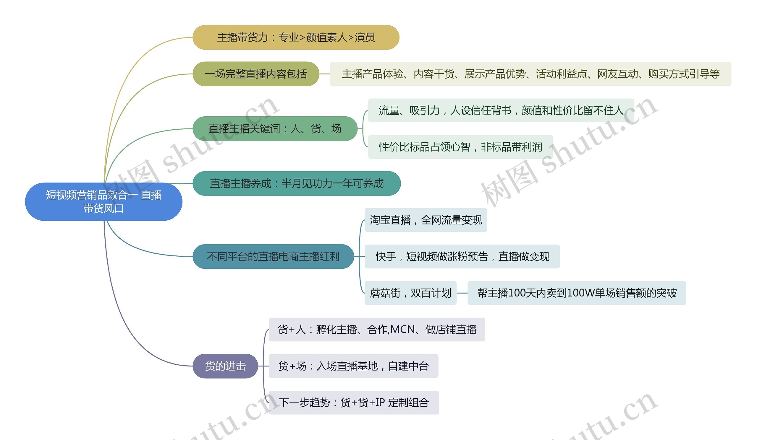 短视频营销品效合一 直播带货风口