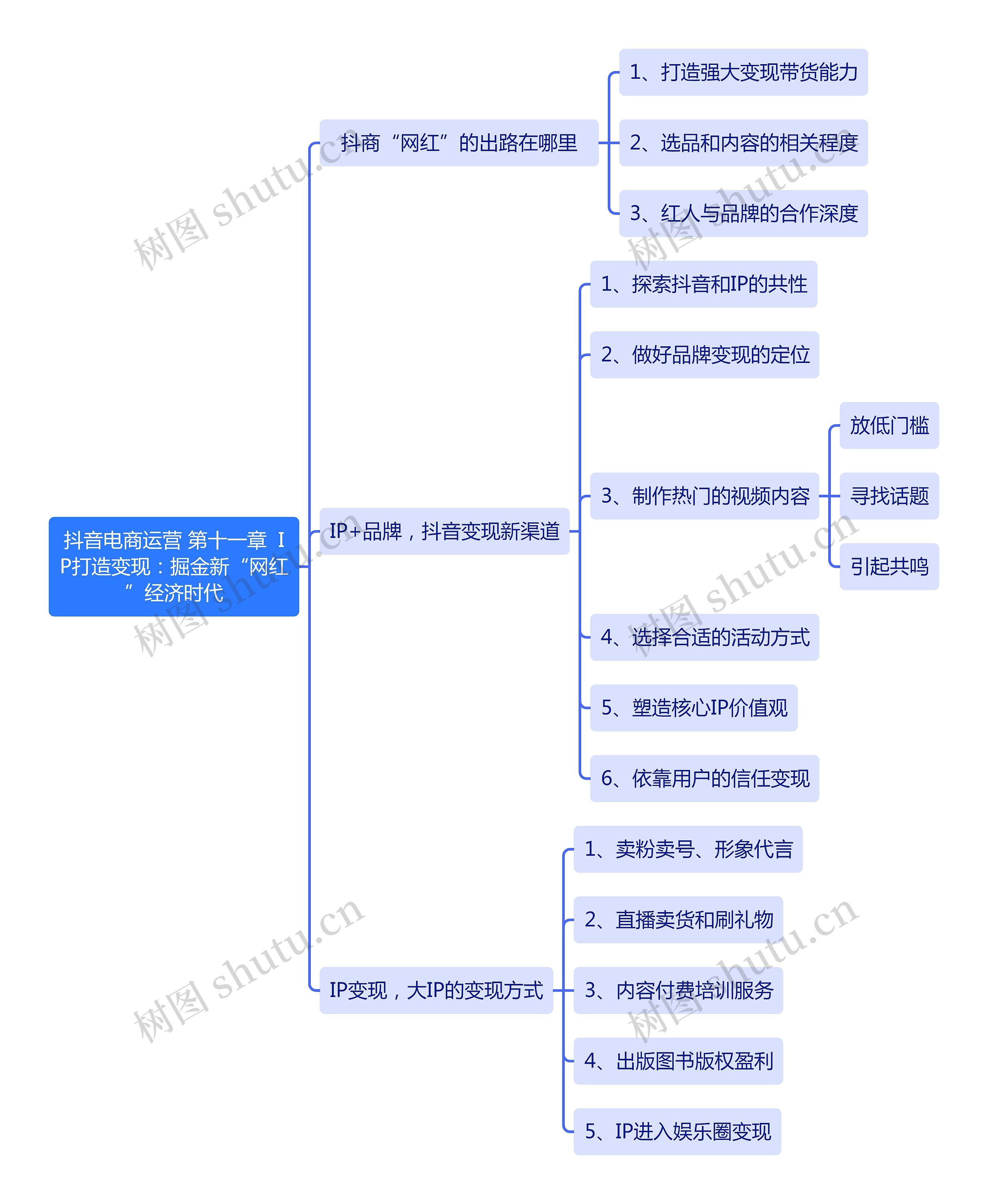 抖音电商运营 第十一章  IP打造变现：掘金新“网红”经济时代