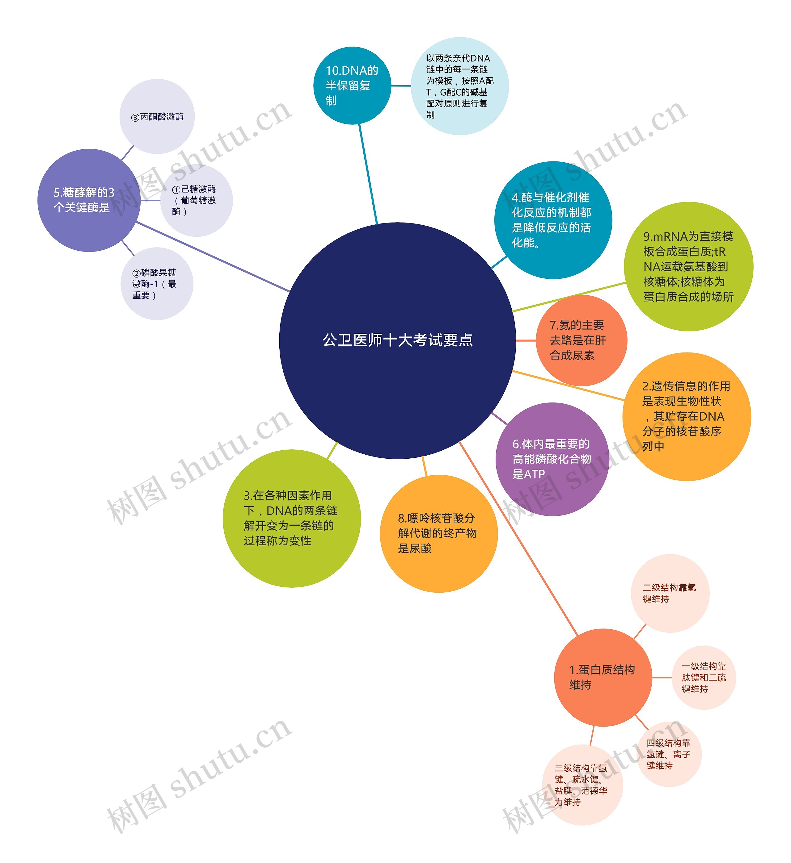 公卫医师十大考试要点气泡图