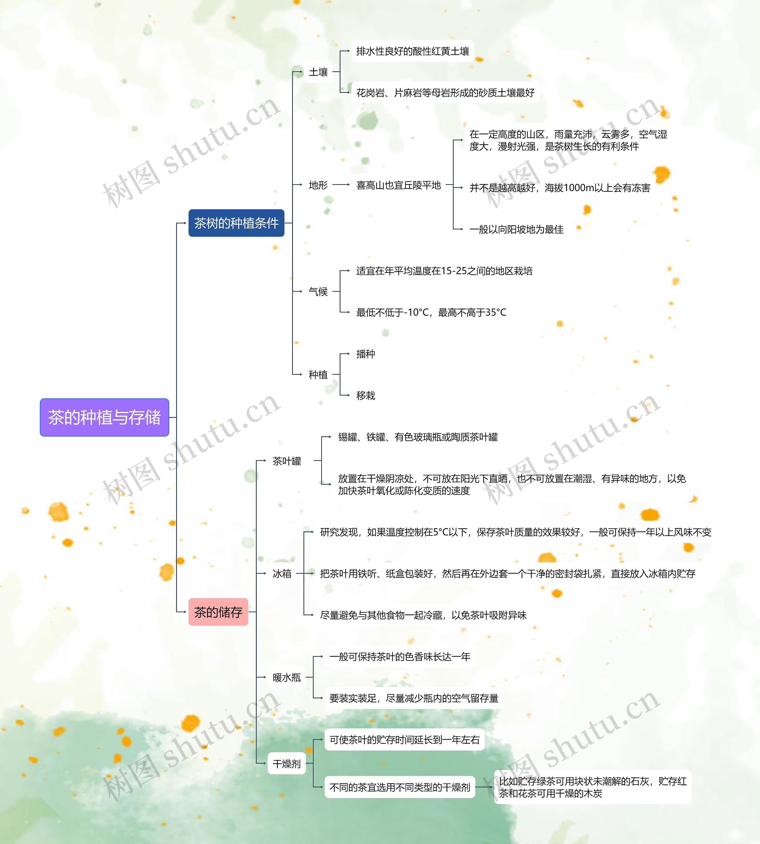 茶的种植与存储思维导图