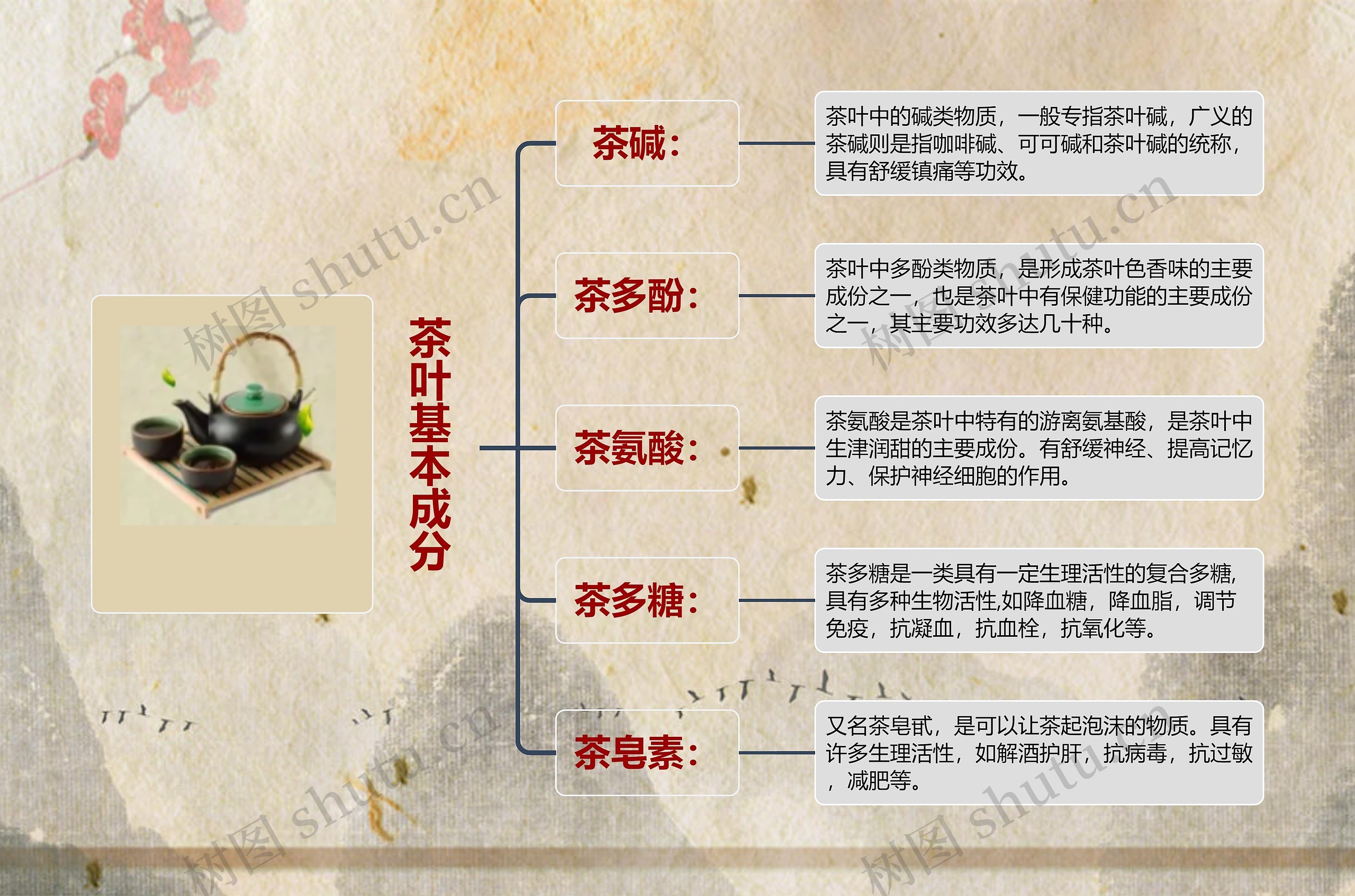茶叶基本成分