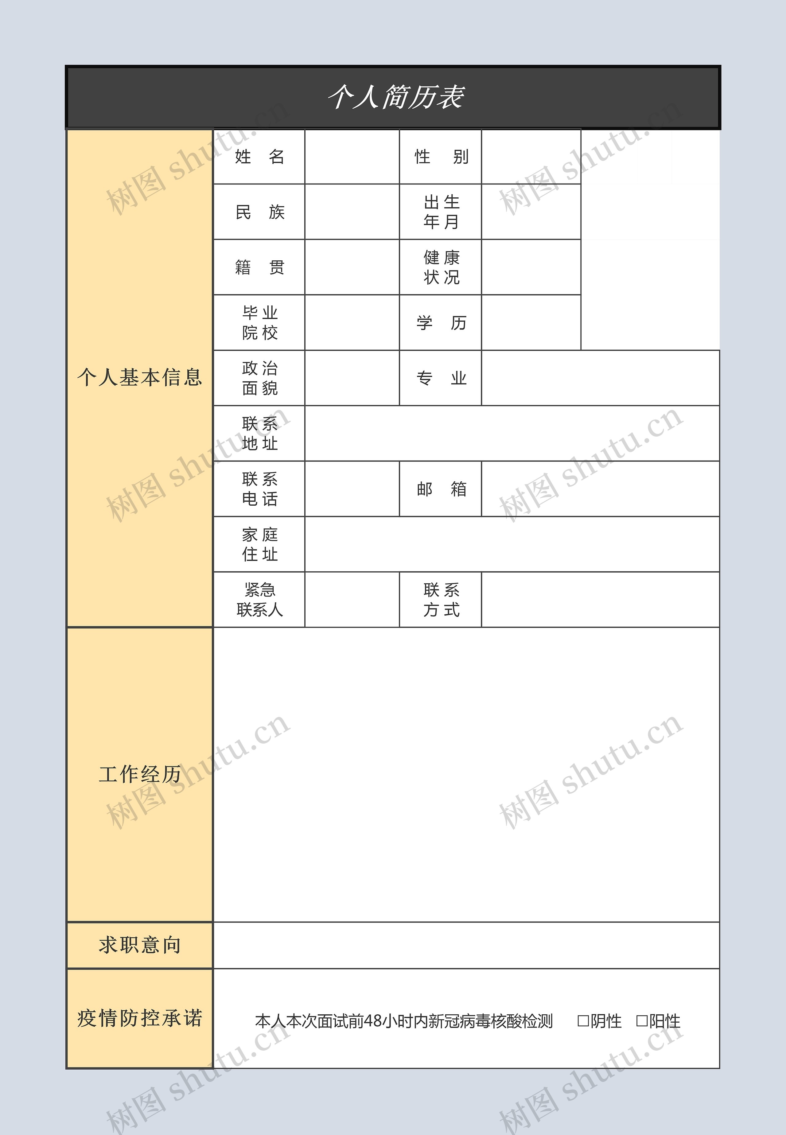 个人简历表