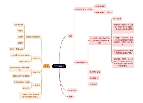 平台运营策划