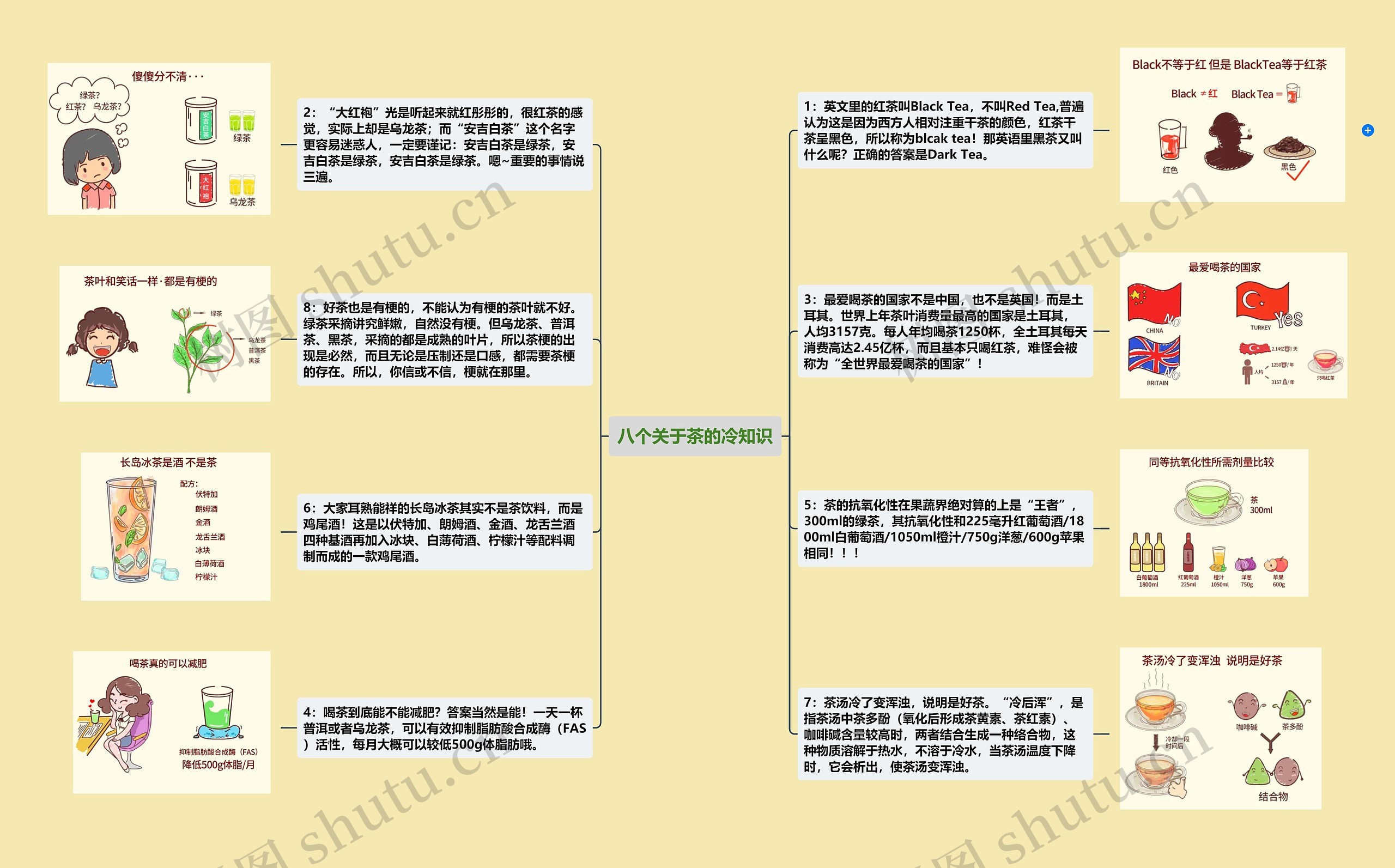 八个关于茶的冷知识思维导图