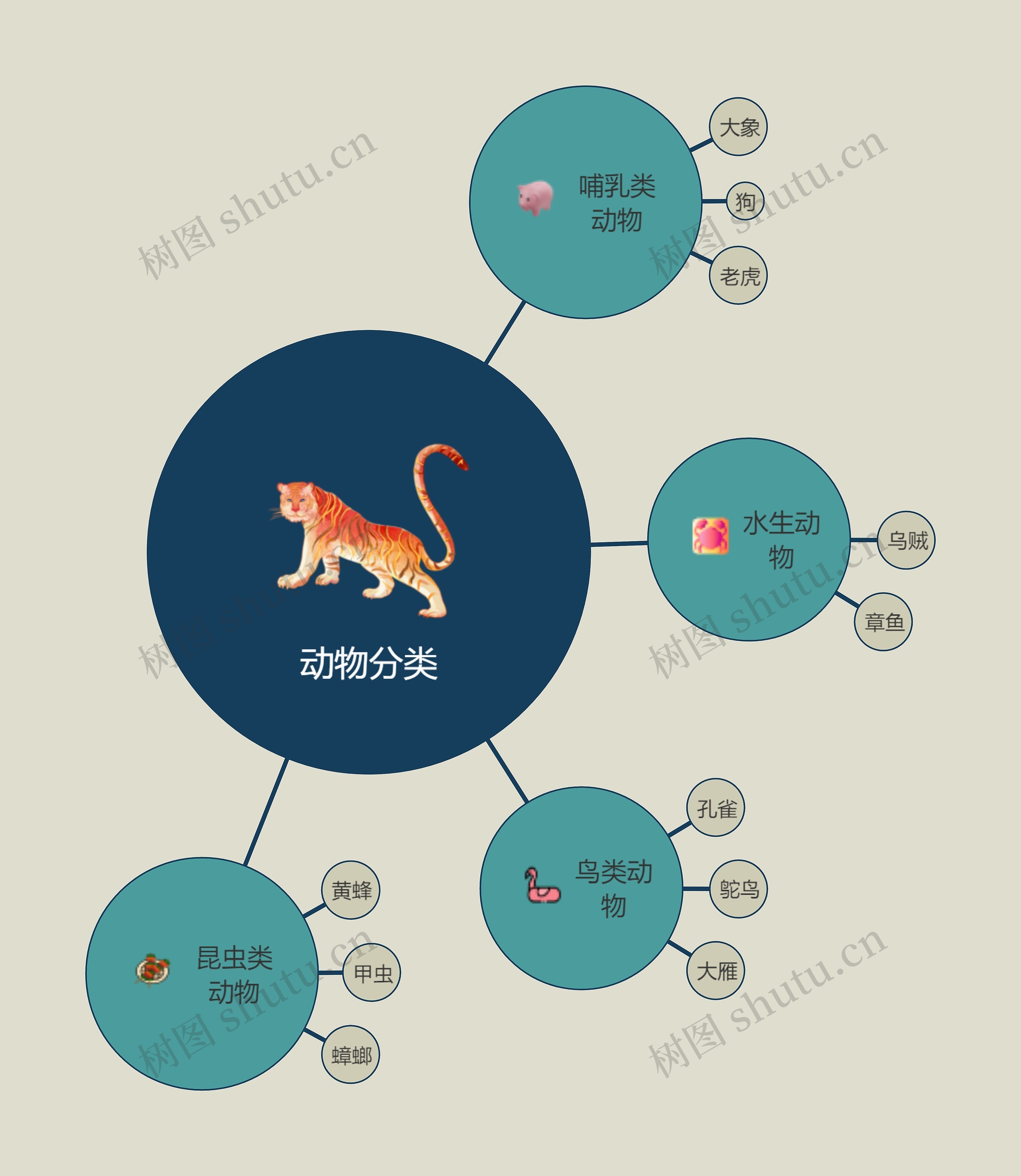 动物分类思维导图