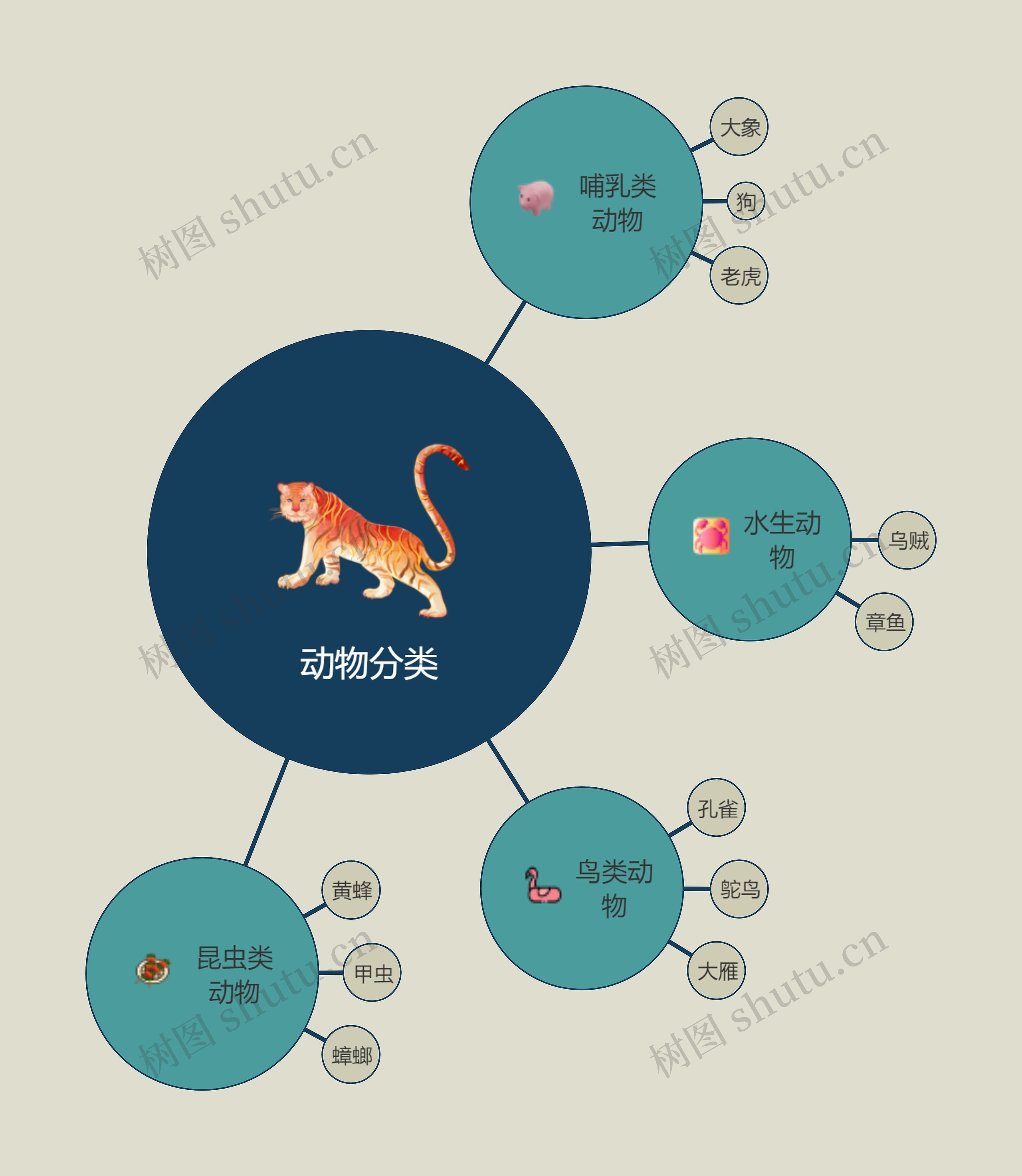 动物分类思维导图高清图 动物分类思维导图