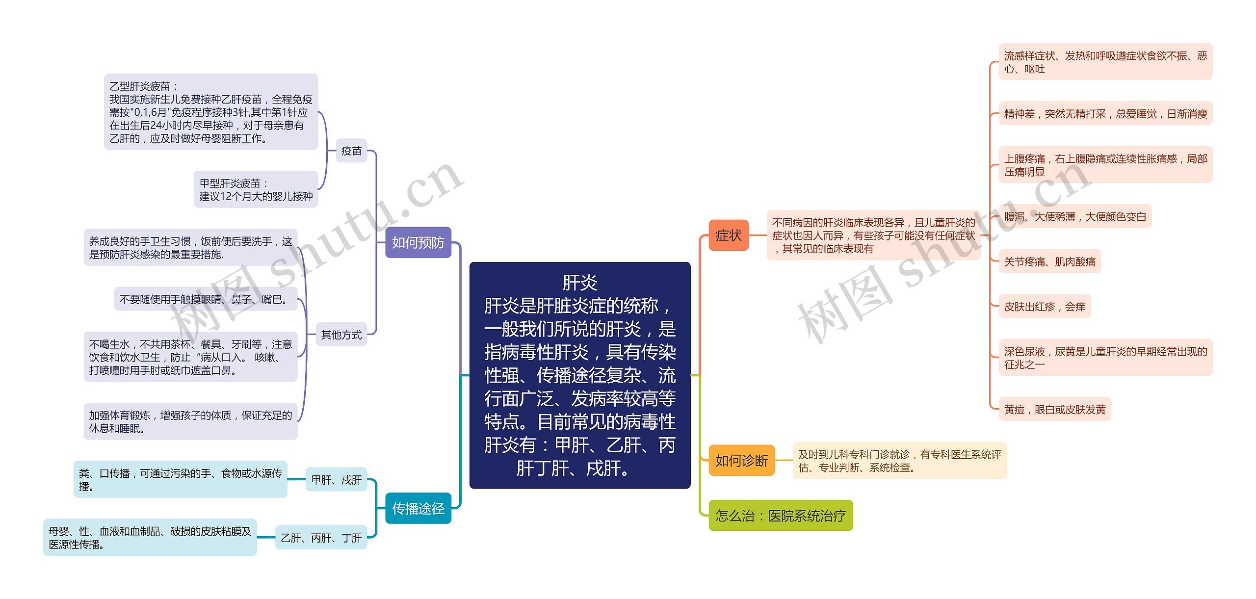   肝炎的介绍，传播和预防思维导图