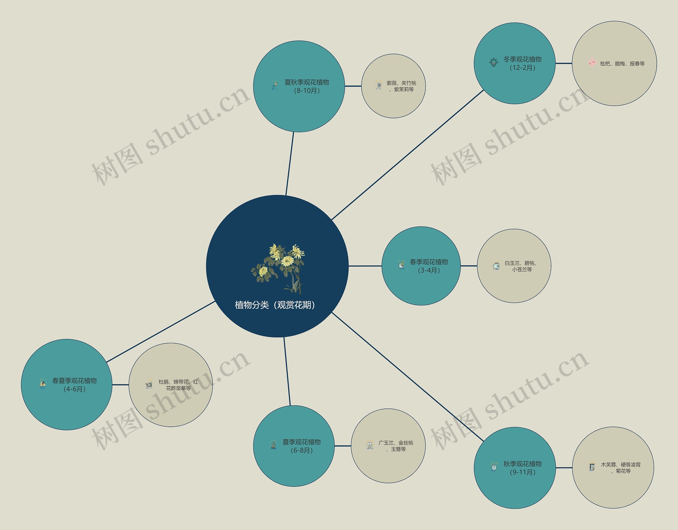植物分类（观赏花期）思维导图