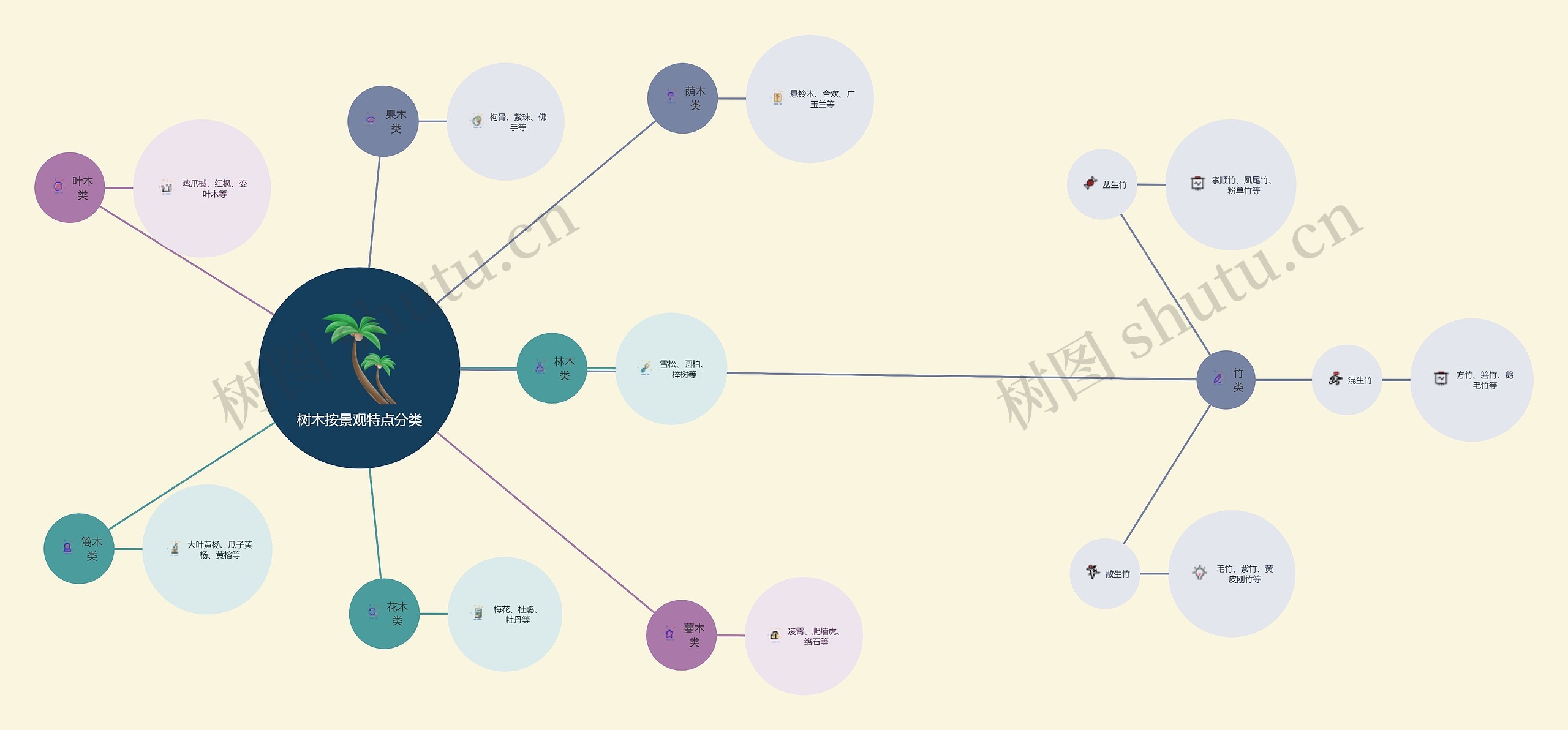 树木按景观特点分类思维导图